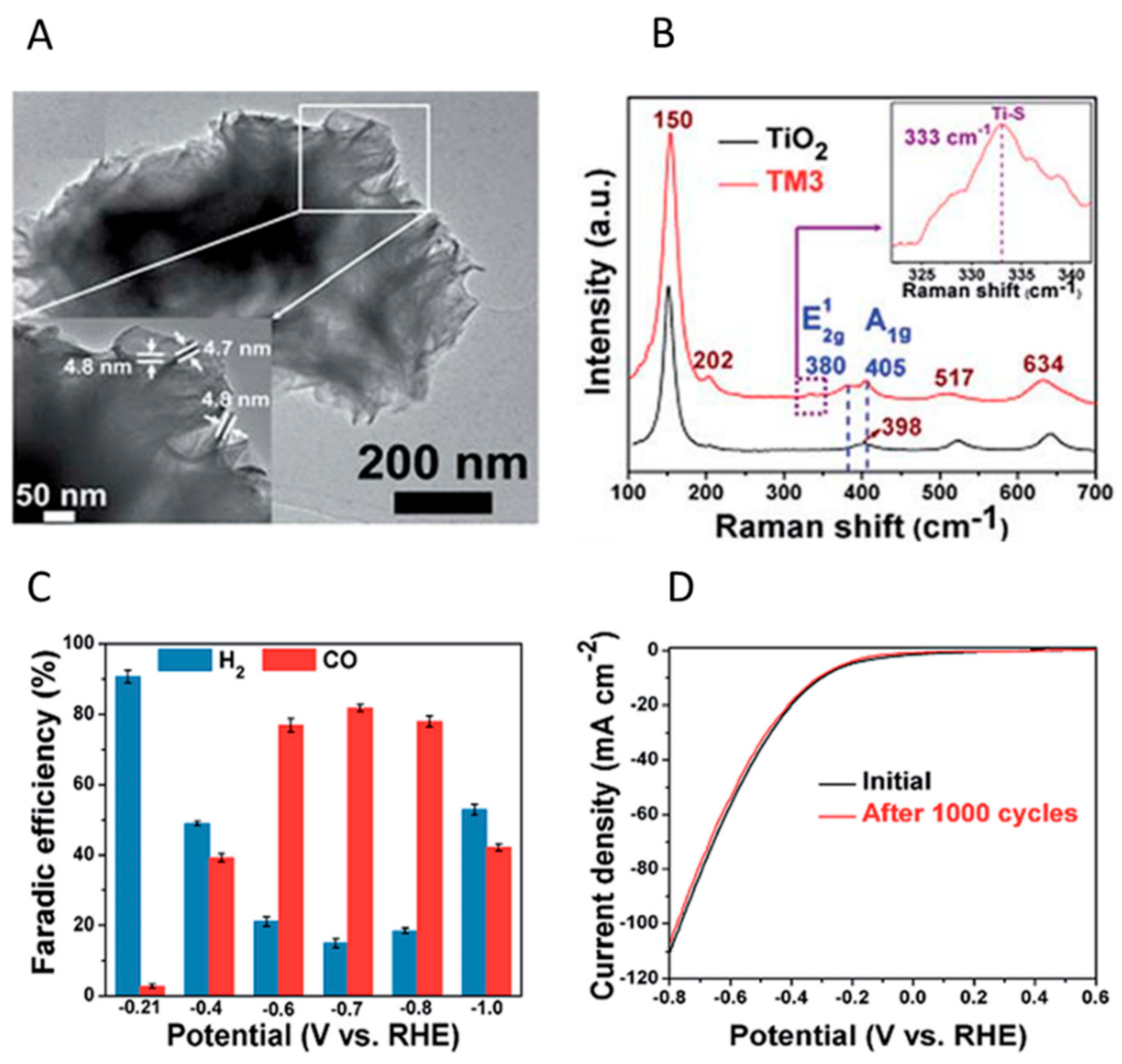 Catalysts 10 00098 g004 Catalysts 10 00098 g004