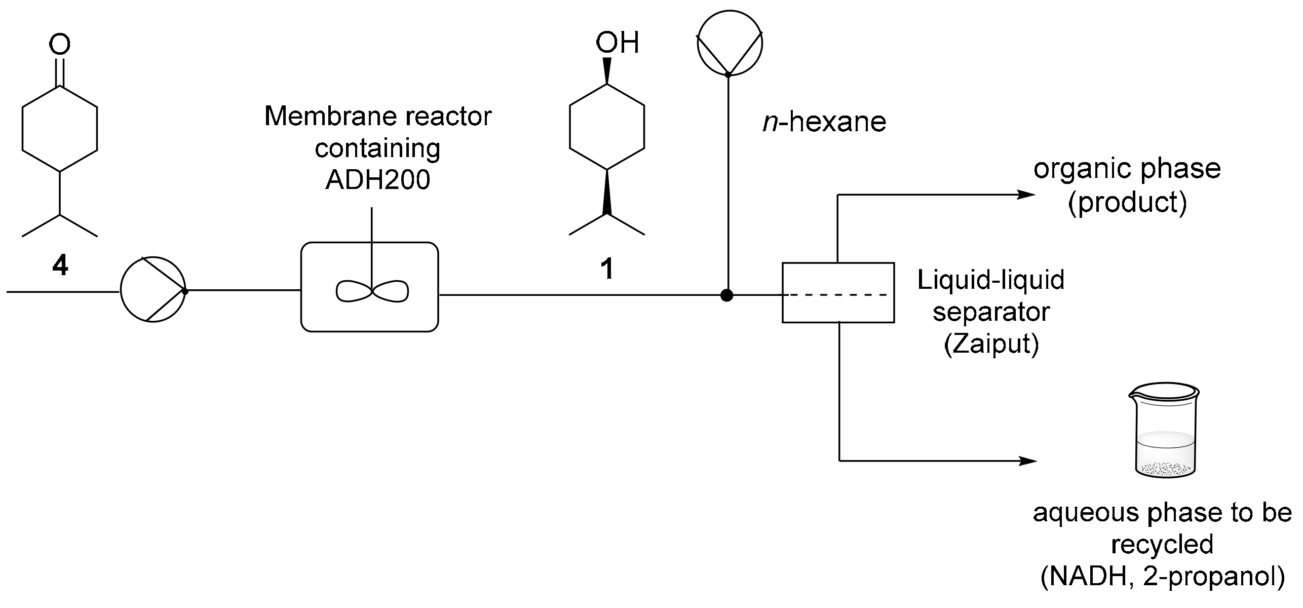 Catalysts 10 00102 g003