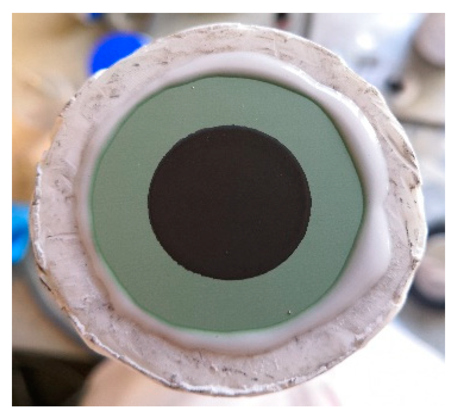 Catalysts 10 00104 g010