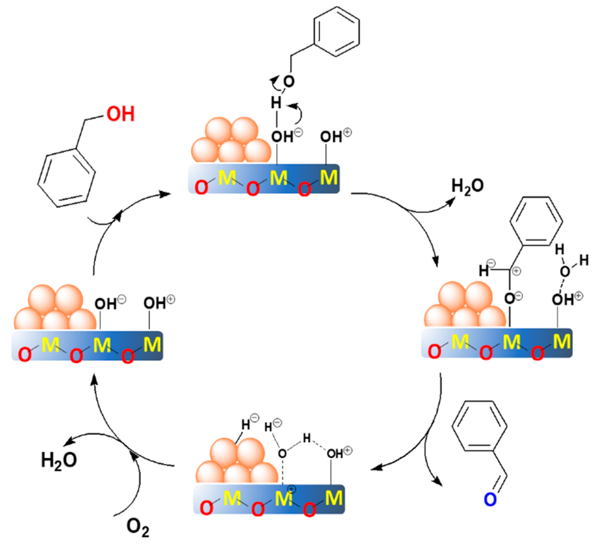 Catalysts 10 00107 g010