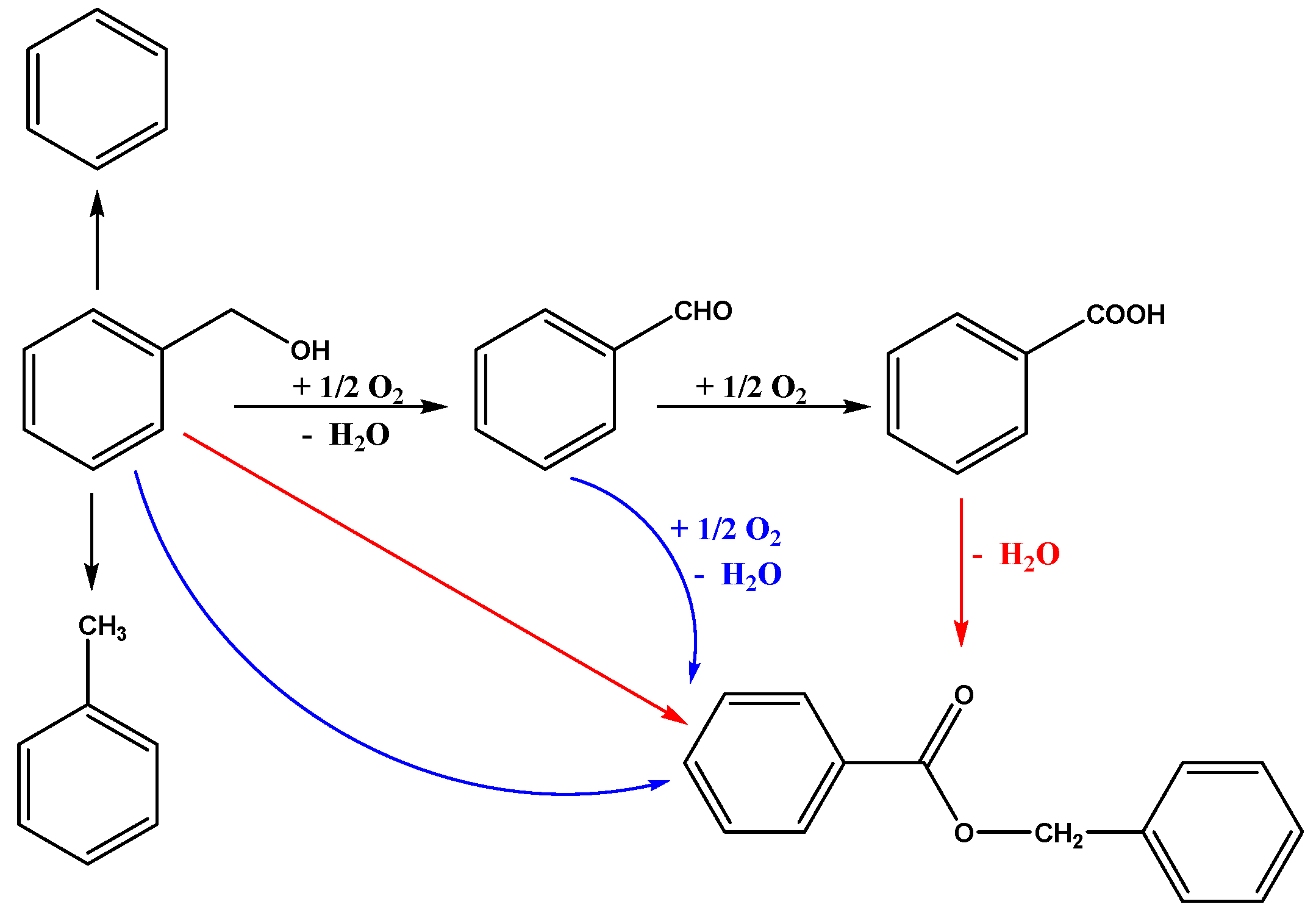Catalysts 10 00107 sch001
