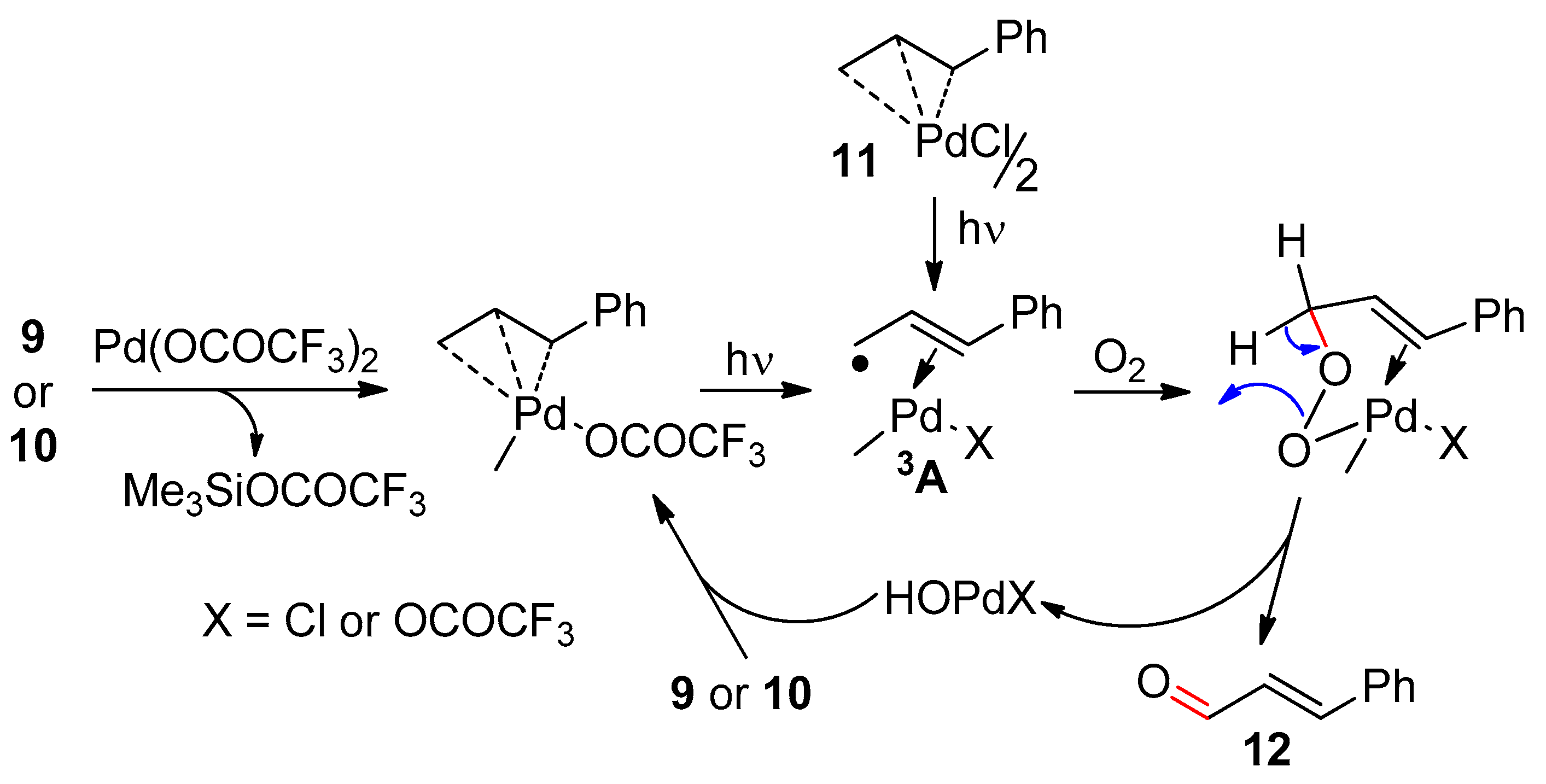 Catalysts 10 00111 sch003 Catalysts 10 00111 sch003