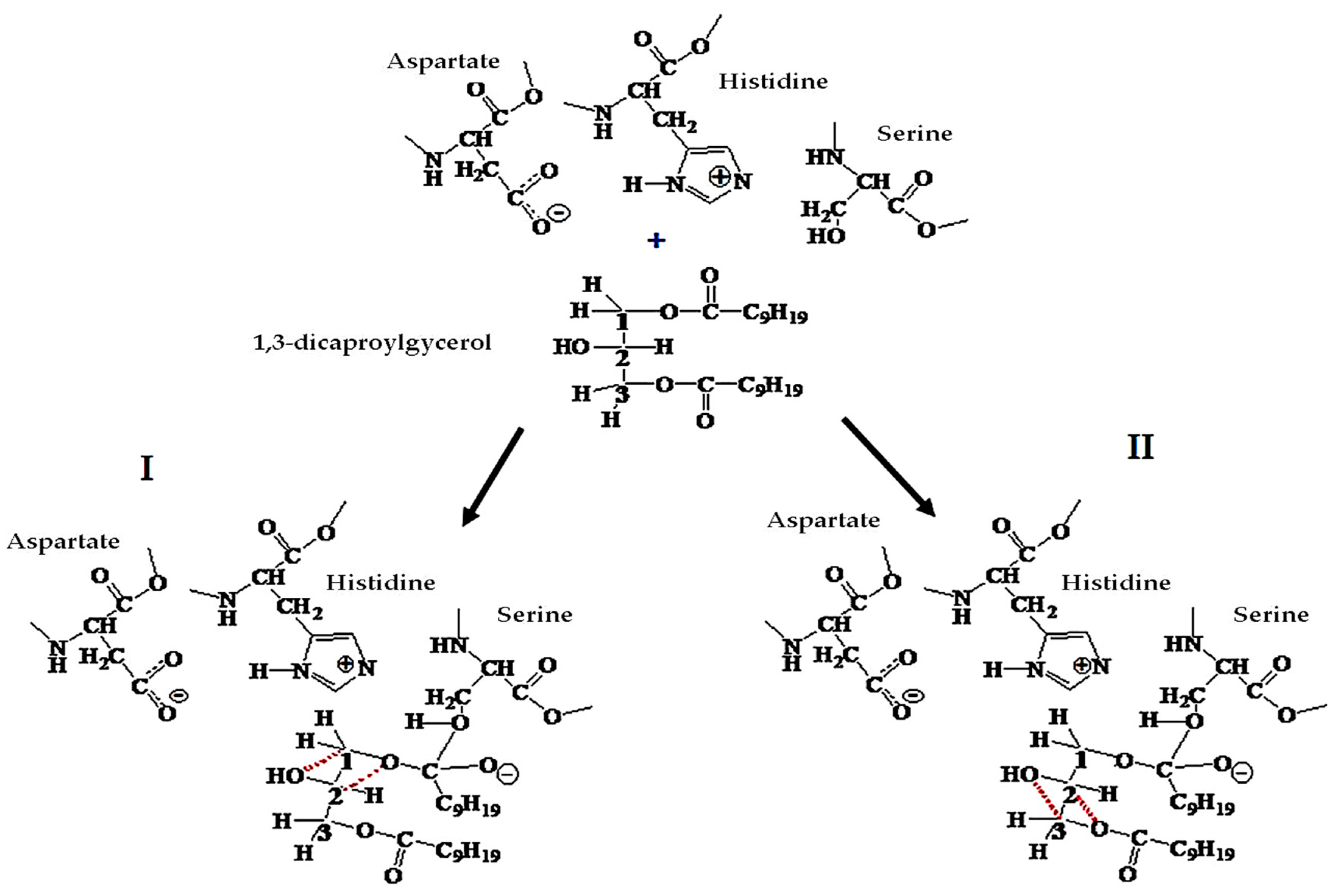 Catalysts 10 00116 g001