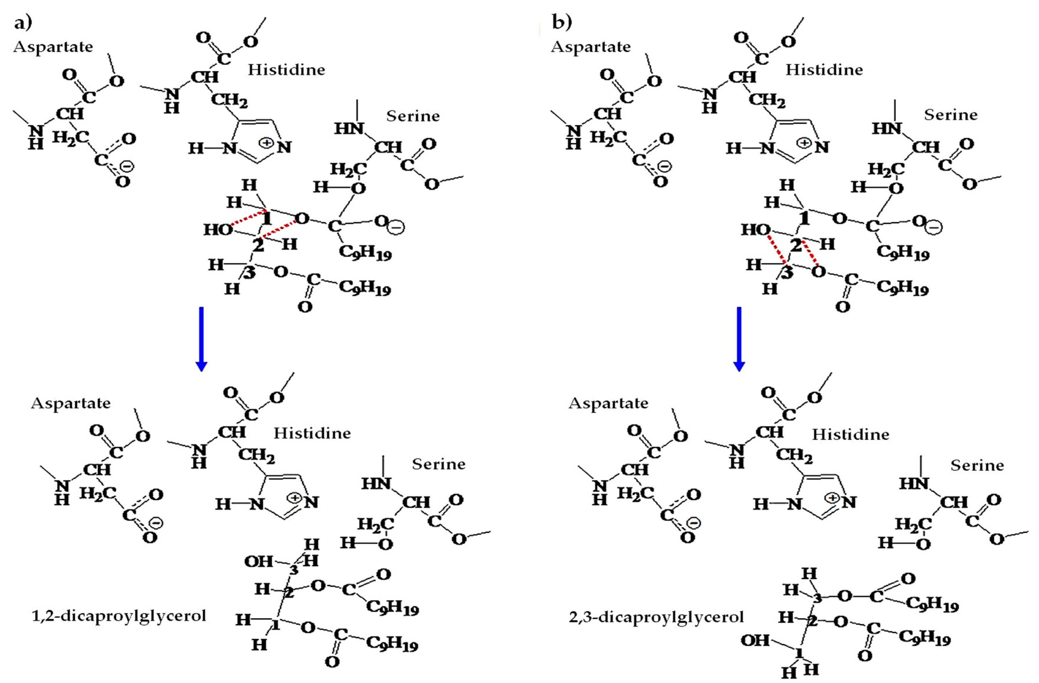 Catalysts 10 00116 g002