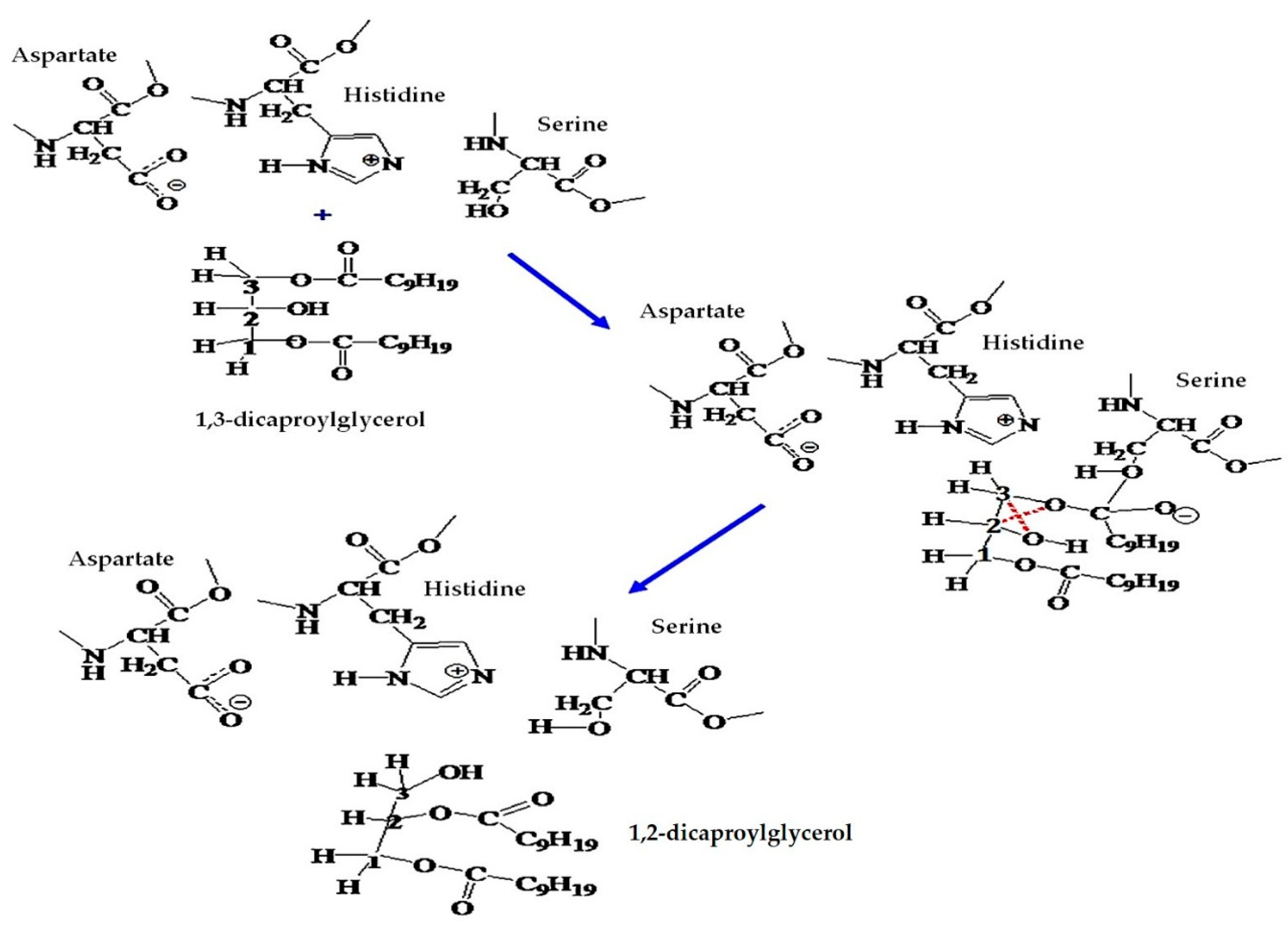 Catalysts 10 00116 g003