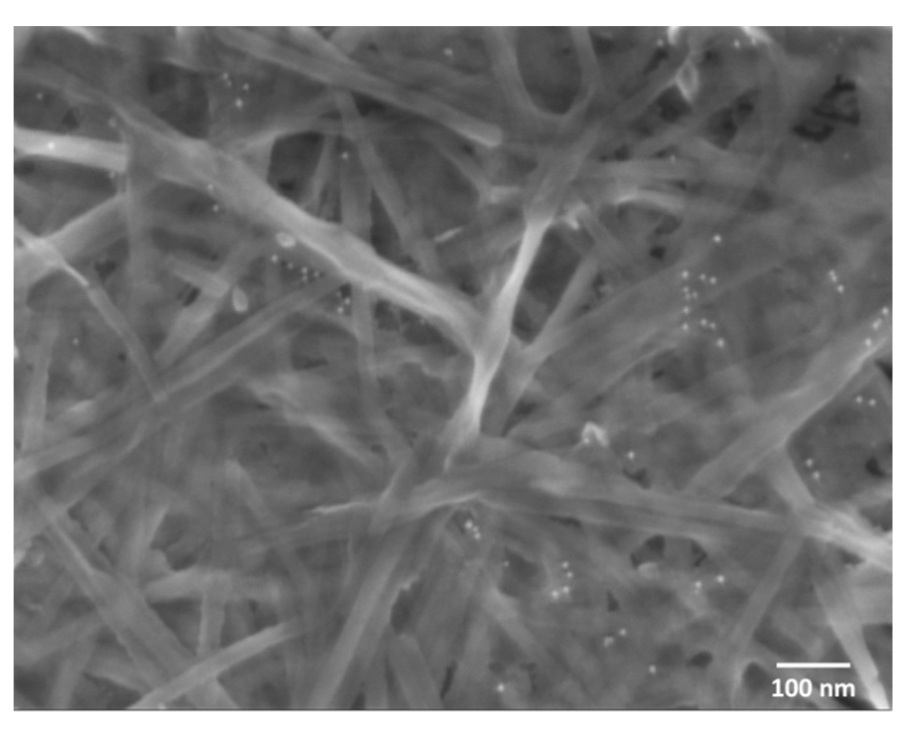 Catalysts 10 00126 g004 Catalysts 10 00126 g004