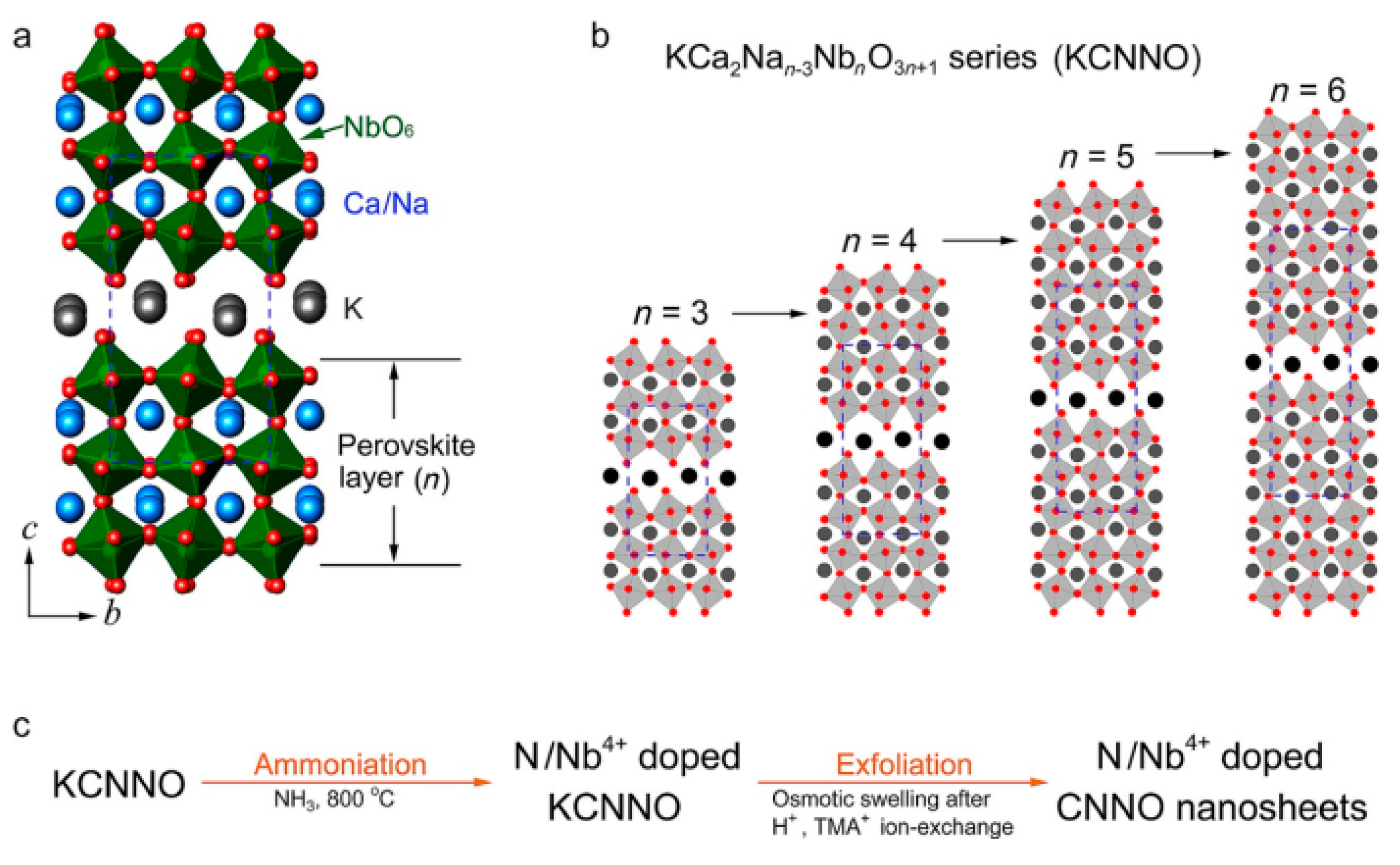 Catalysts 10 00126 g005 Catalysts 10 00126 g005