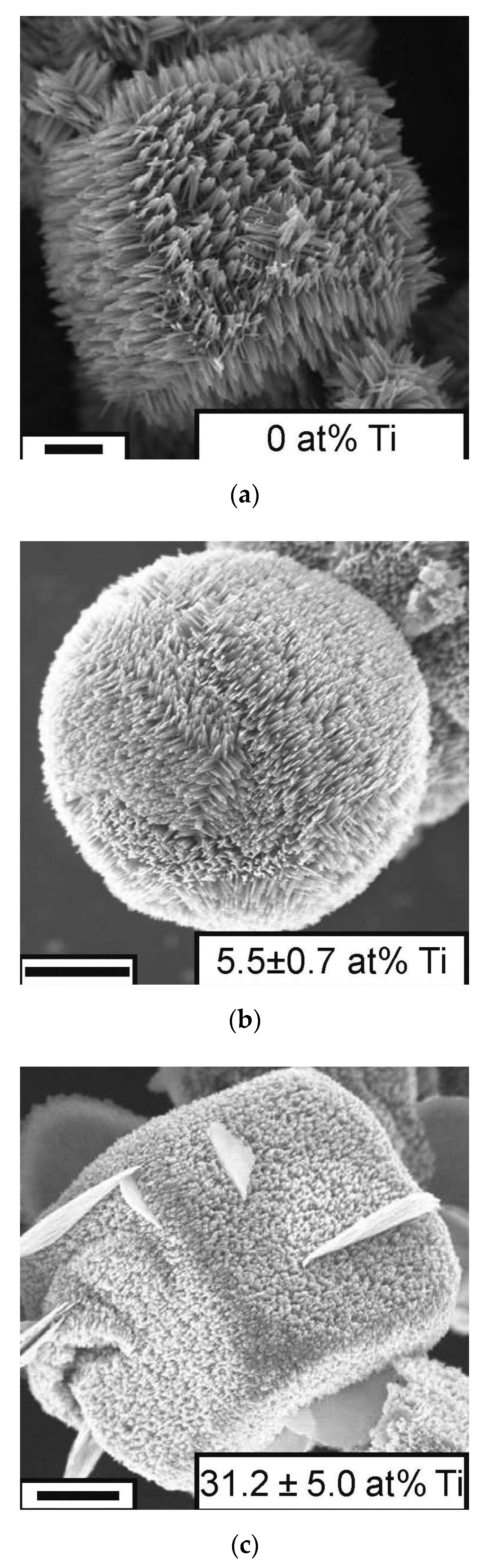 Catalysts 10 00126 g008 Catalysts 10 00126 g008
