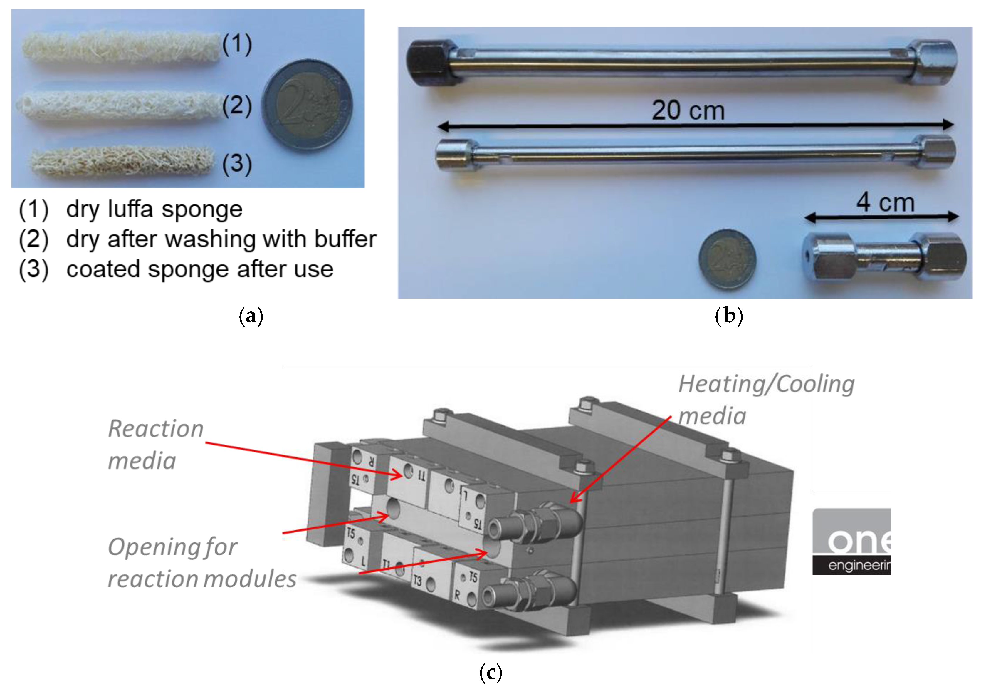 Catalysts 10 00137 g010