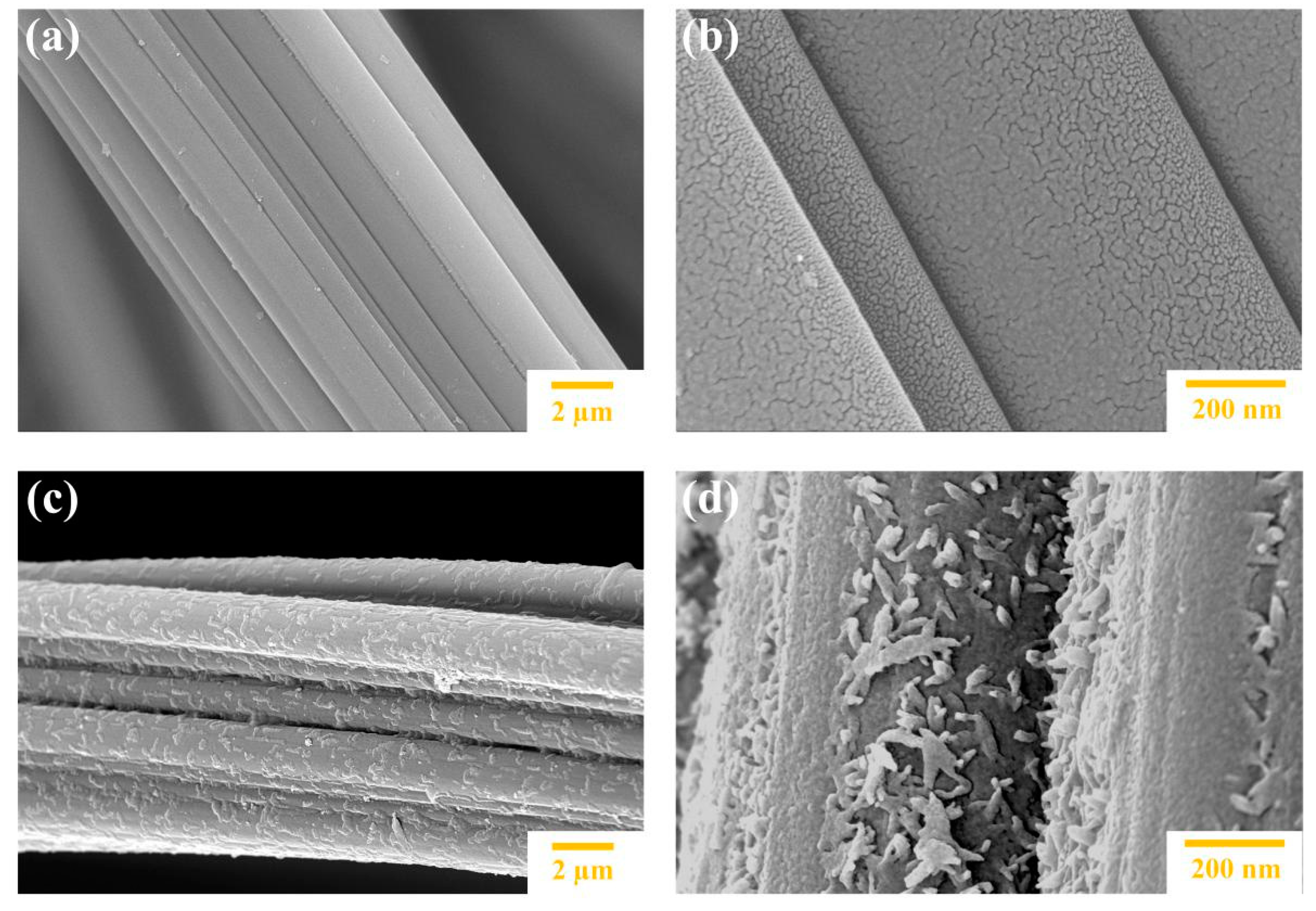 Catalysts 10 00138 g001 Catalysts 10 00138 g001