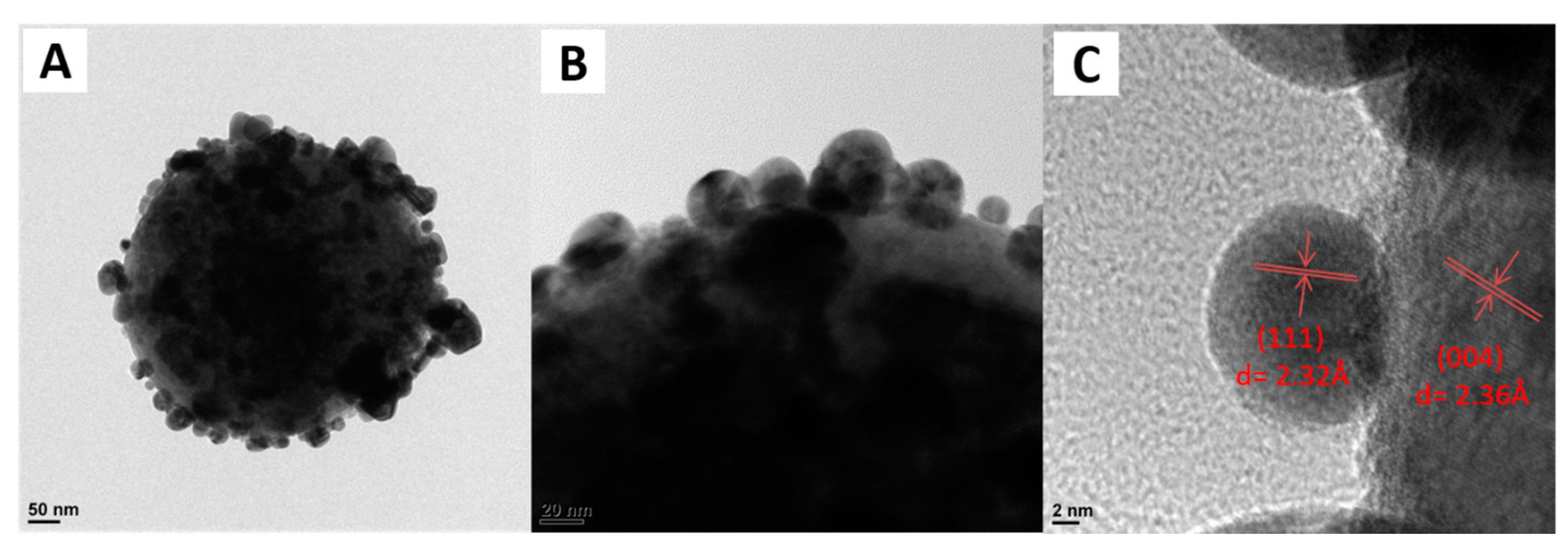Catalysts 10 00139 g002 Catalysts 10 00139 g002