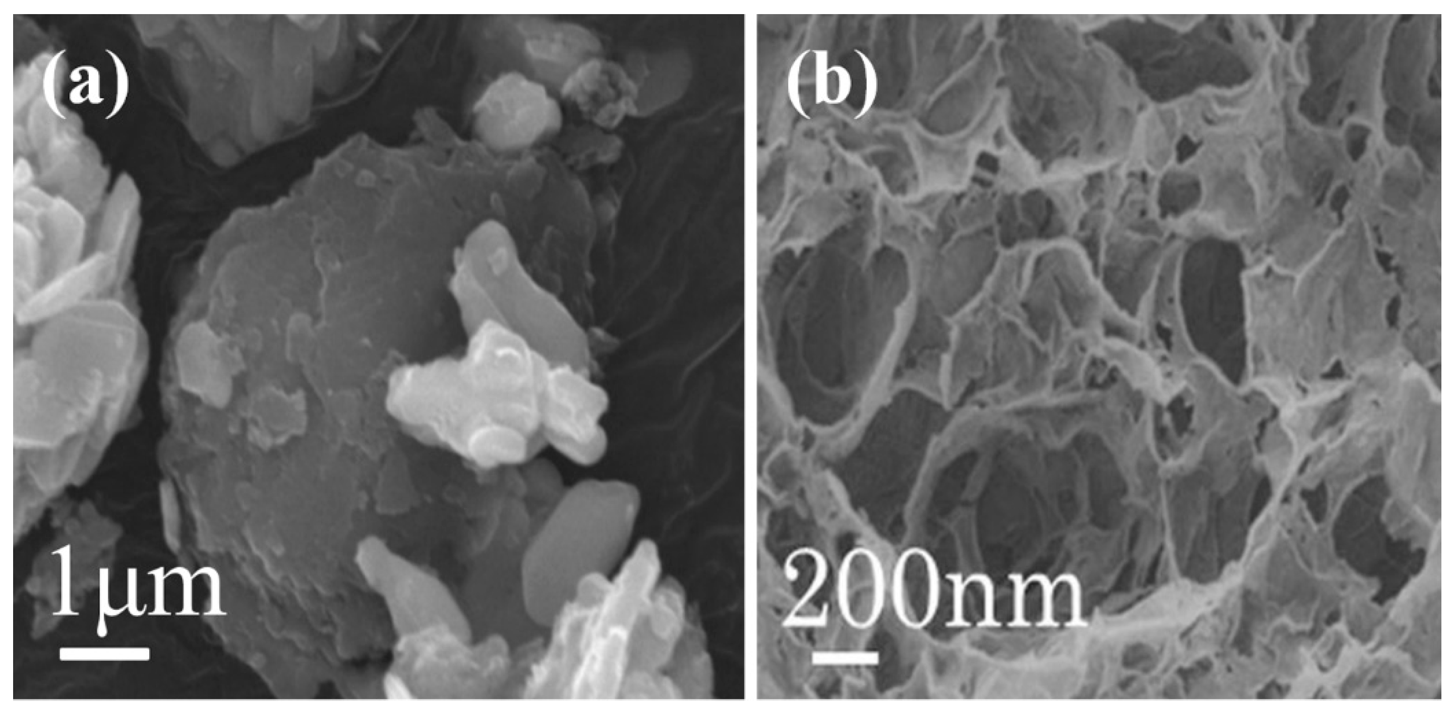 Catalysts 10 00142 g009
