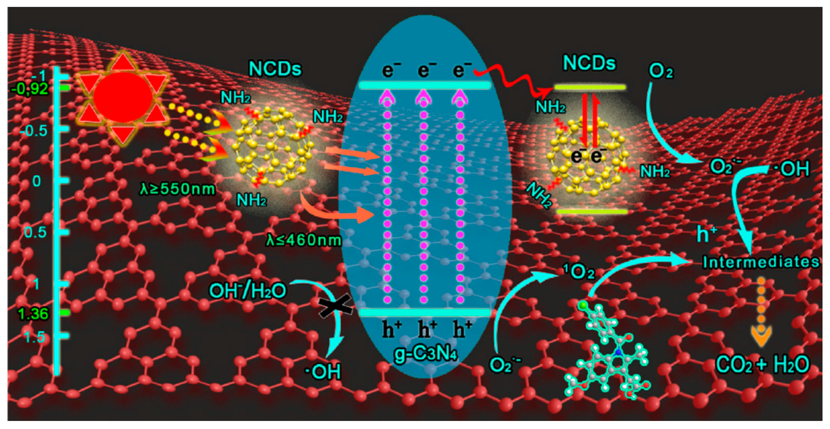 Catalysts 10 00142 g012