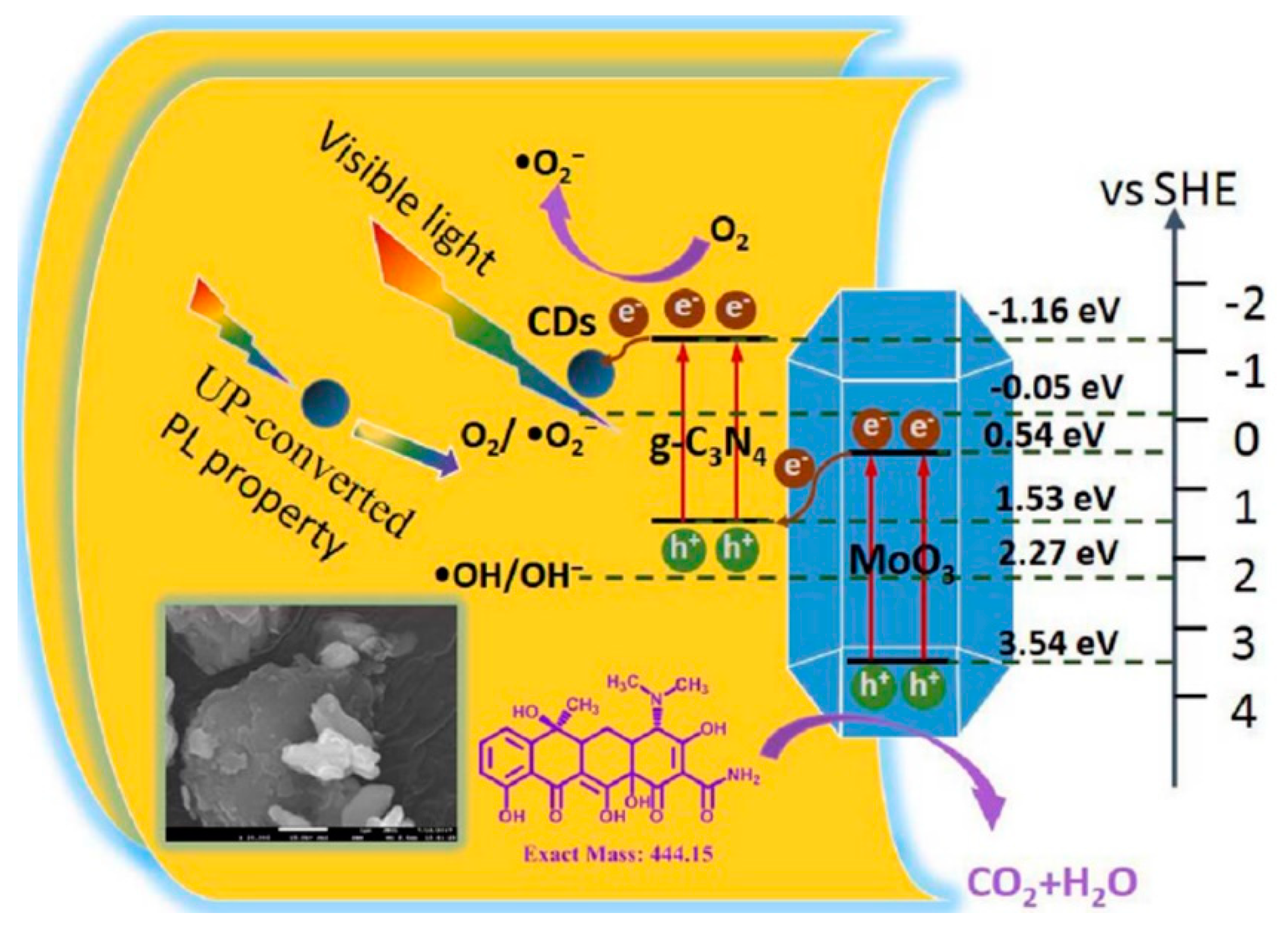 Catalysts 10 00142 g014