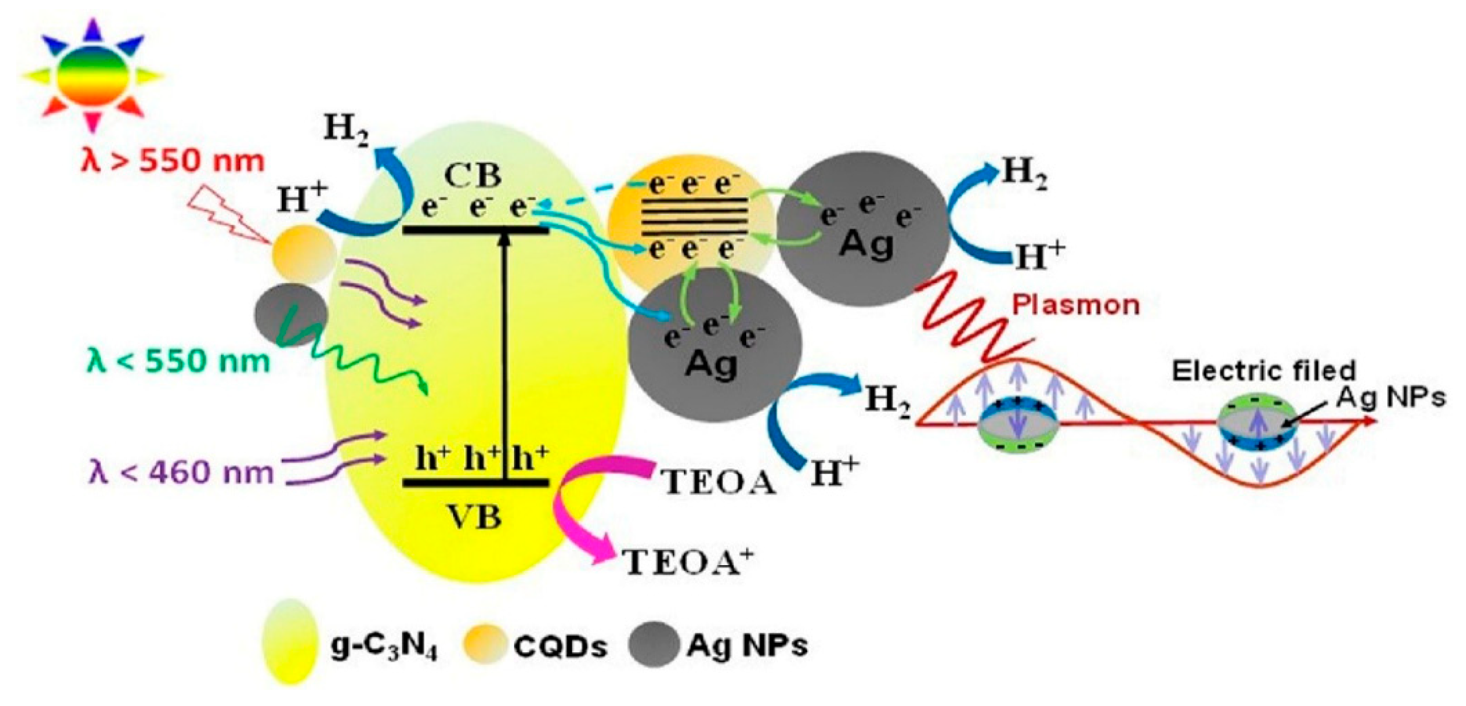 Catalysts 10 00142 g016