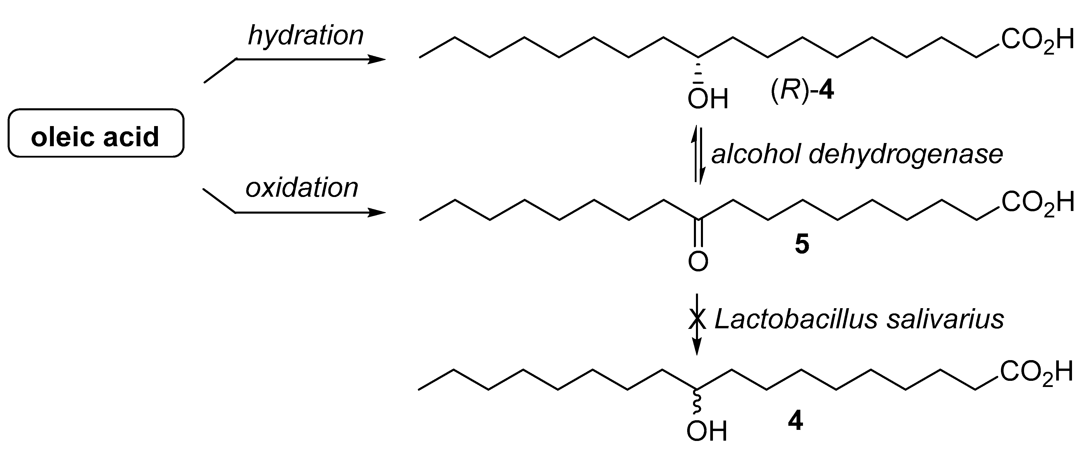 Catalysts 10 00154 g003