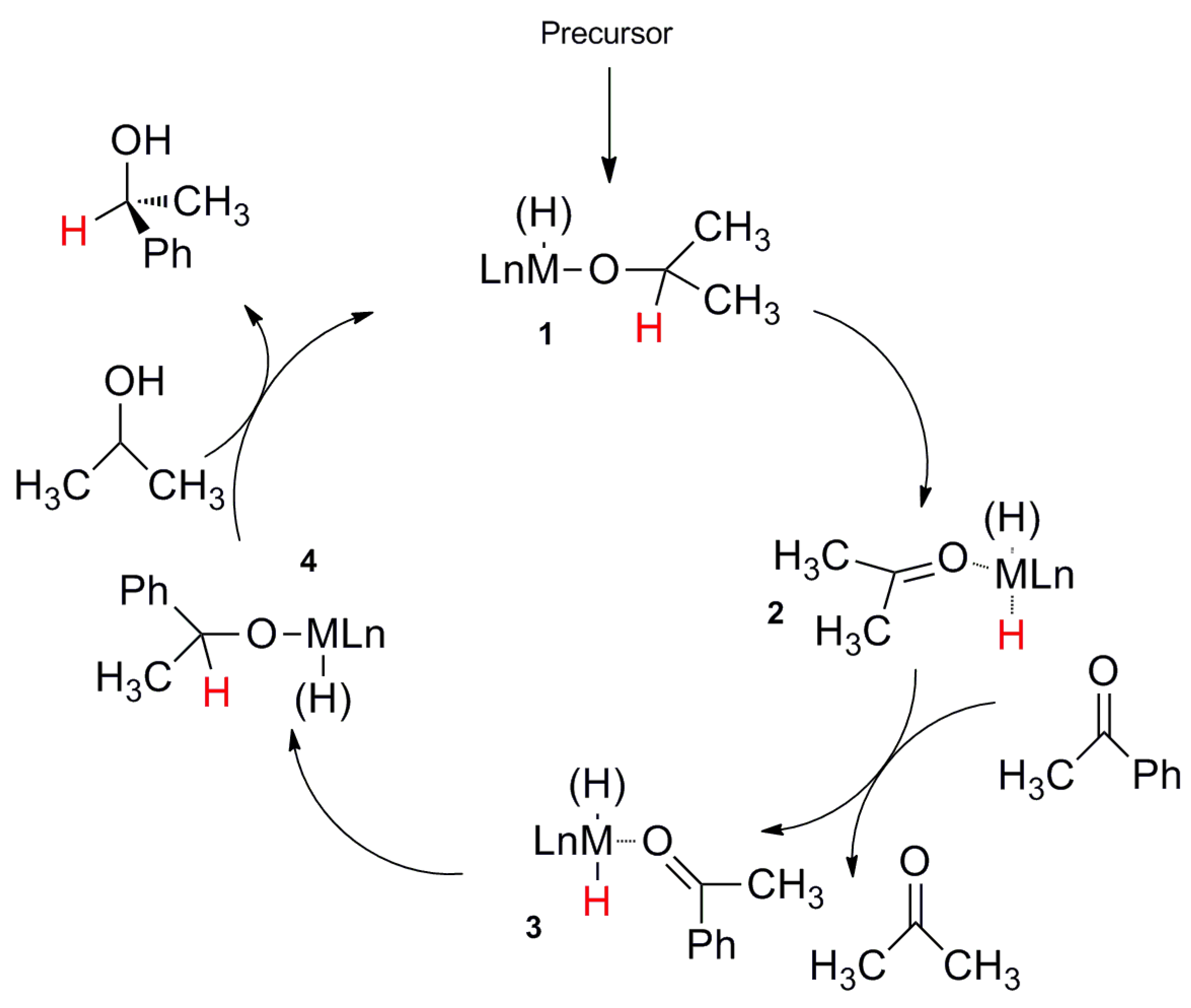 Catalysts 10 00162 sch005 Catalysts 10 00162 sch005