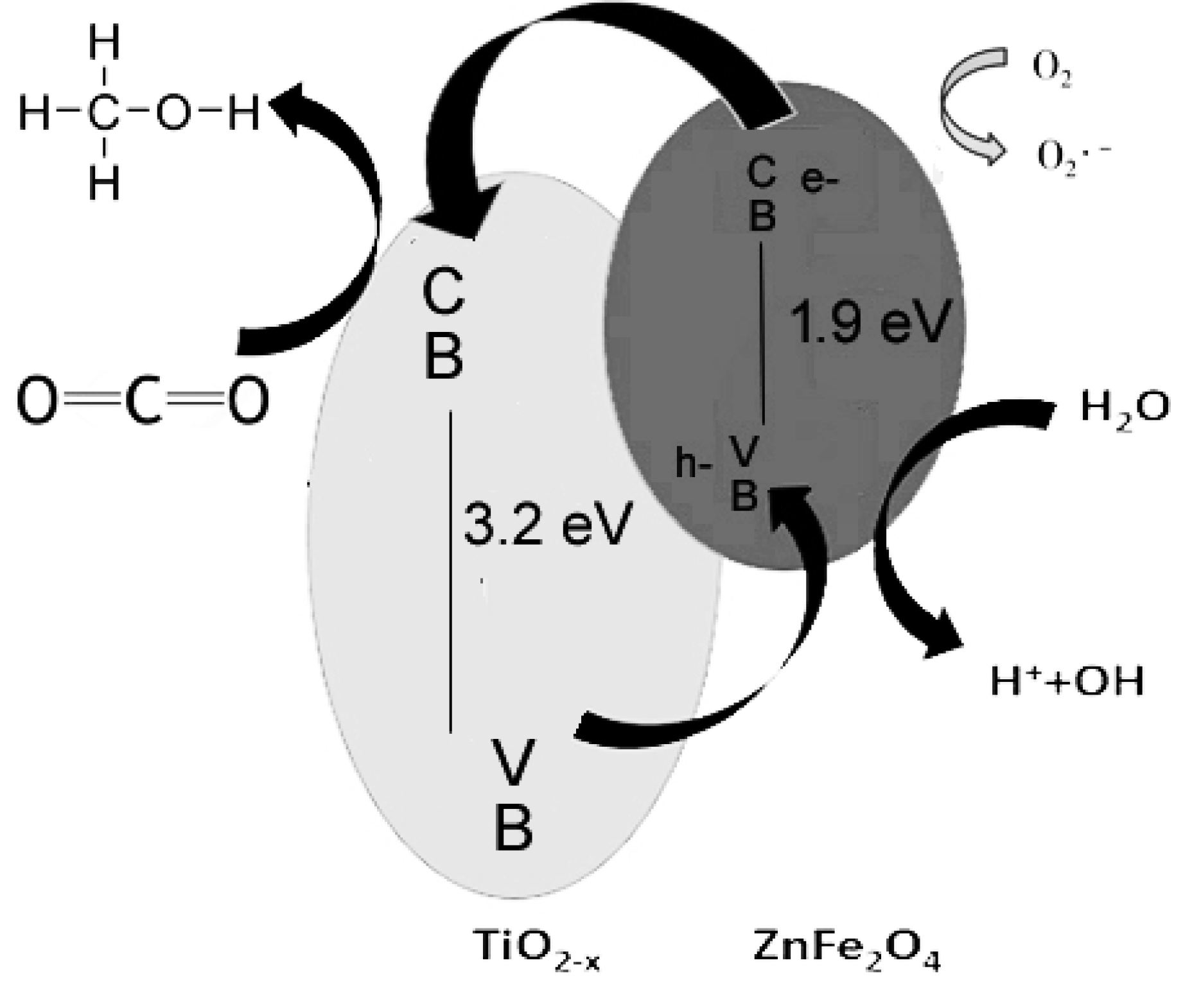 Catalysts 10 00163 g010