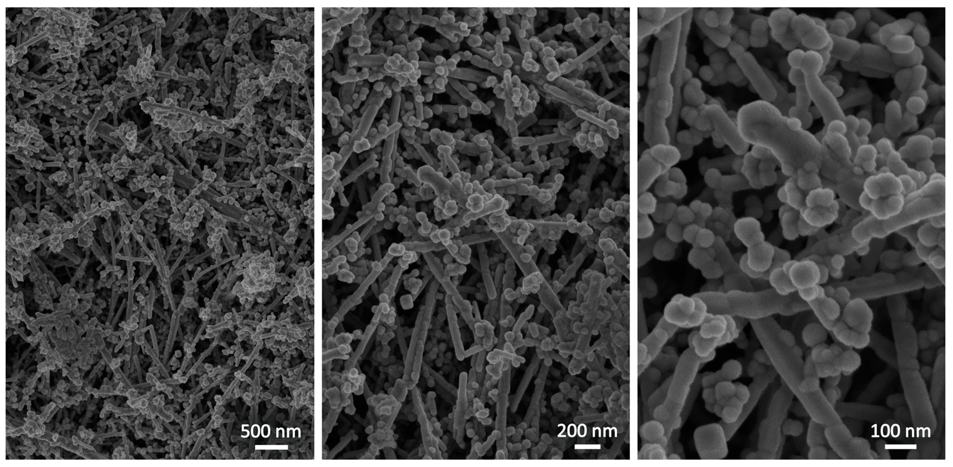 Catalysts 10 00165 g002