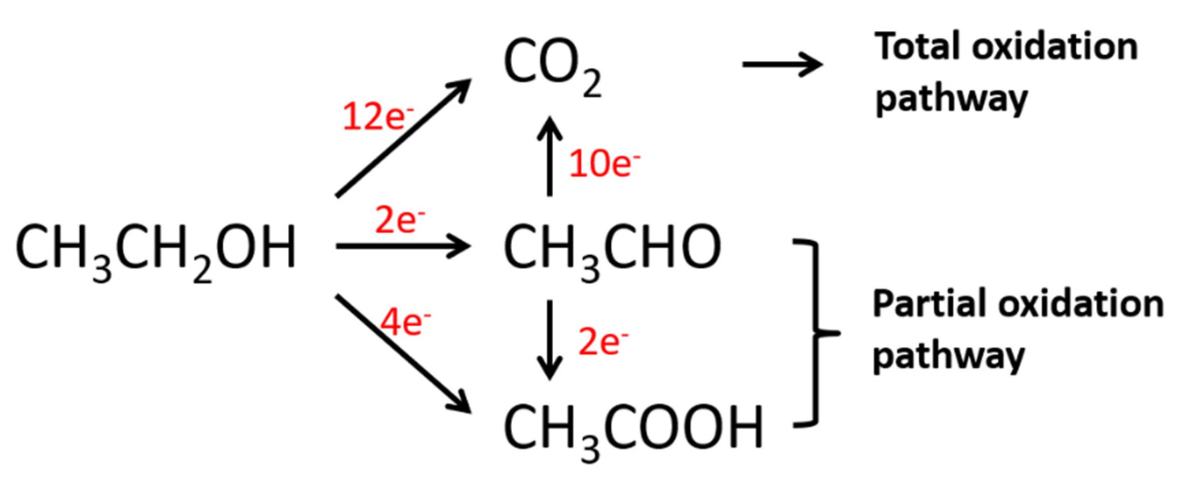 Catalysts 10 00166 g001