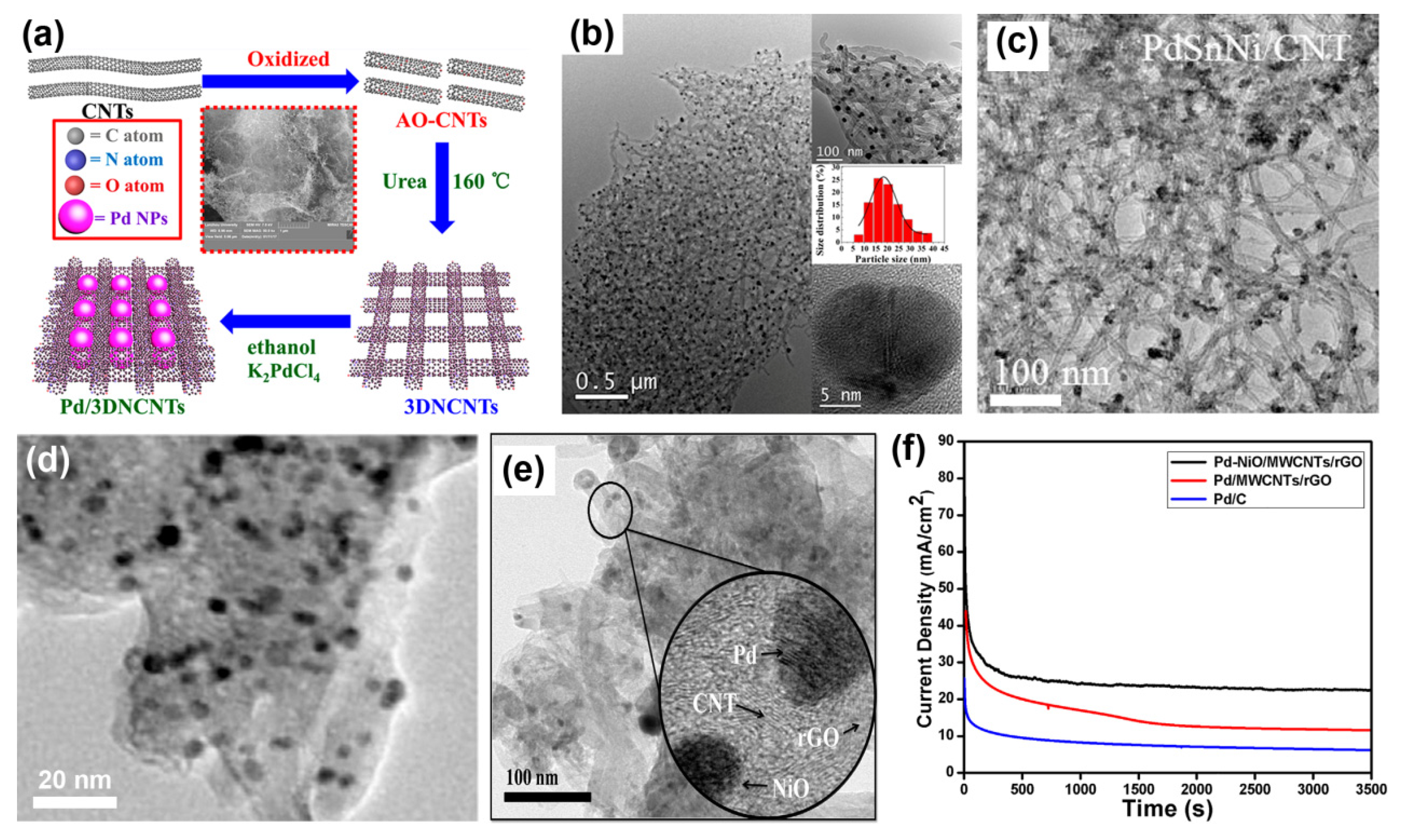 Catalysts 10 00166 g005