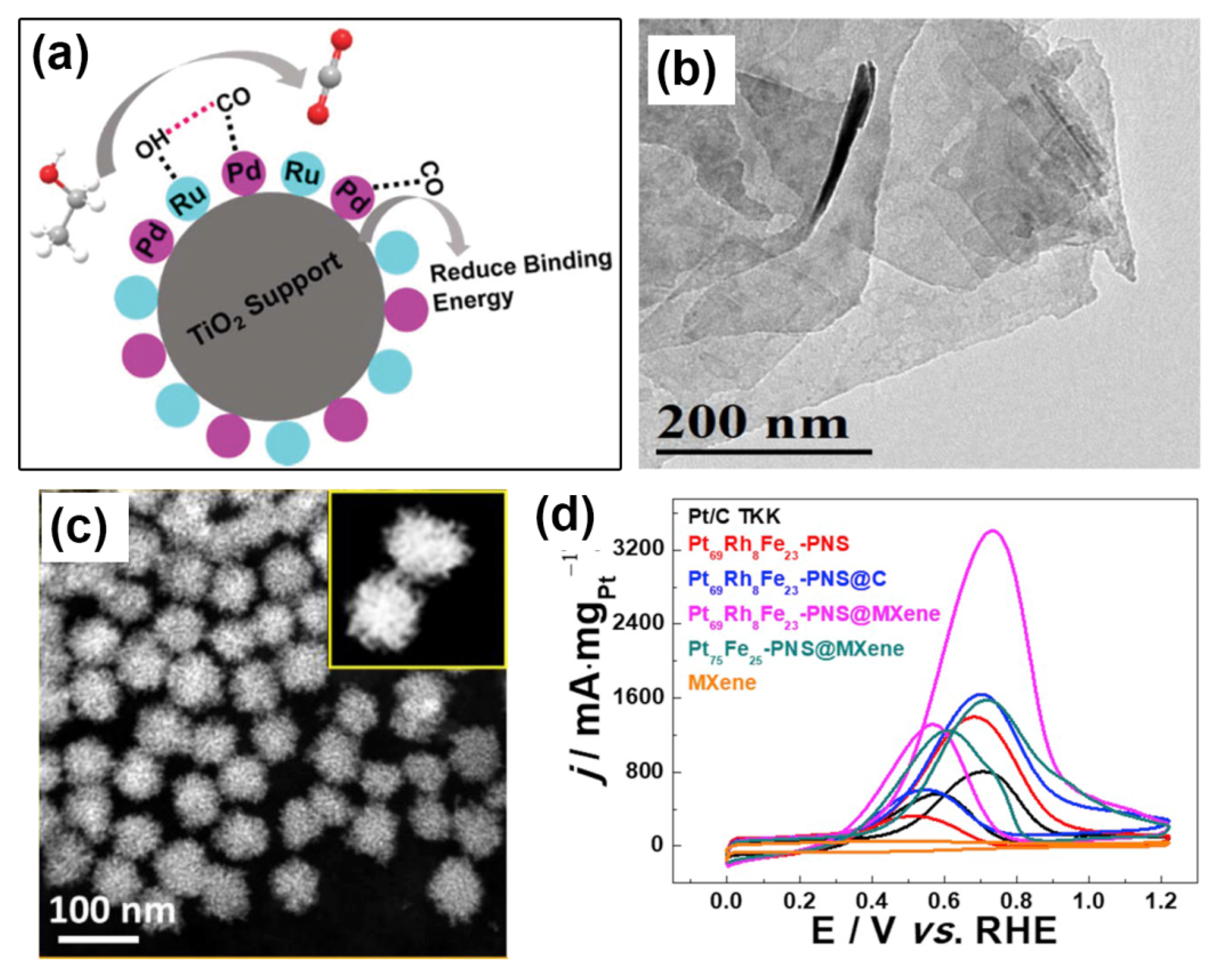 Catalysts 10 00166 g006