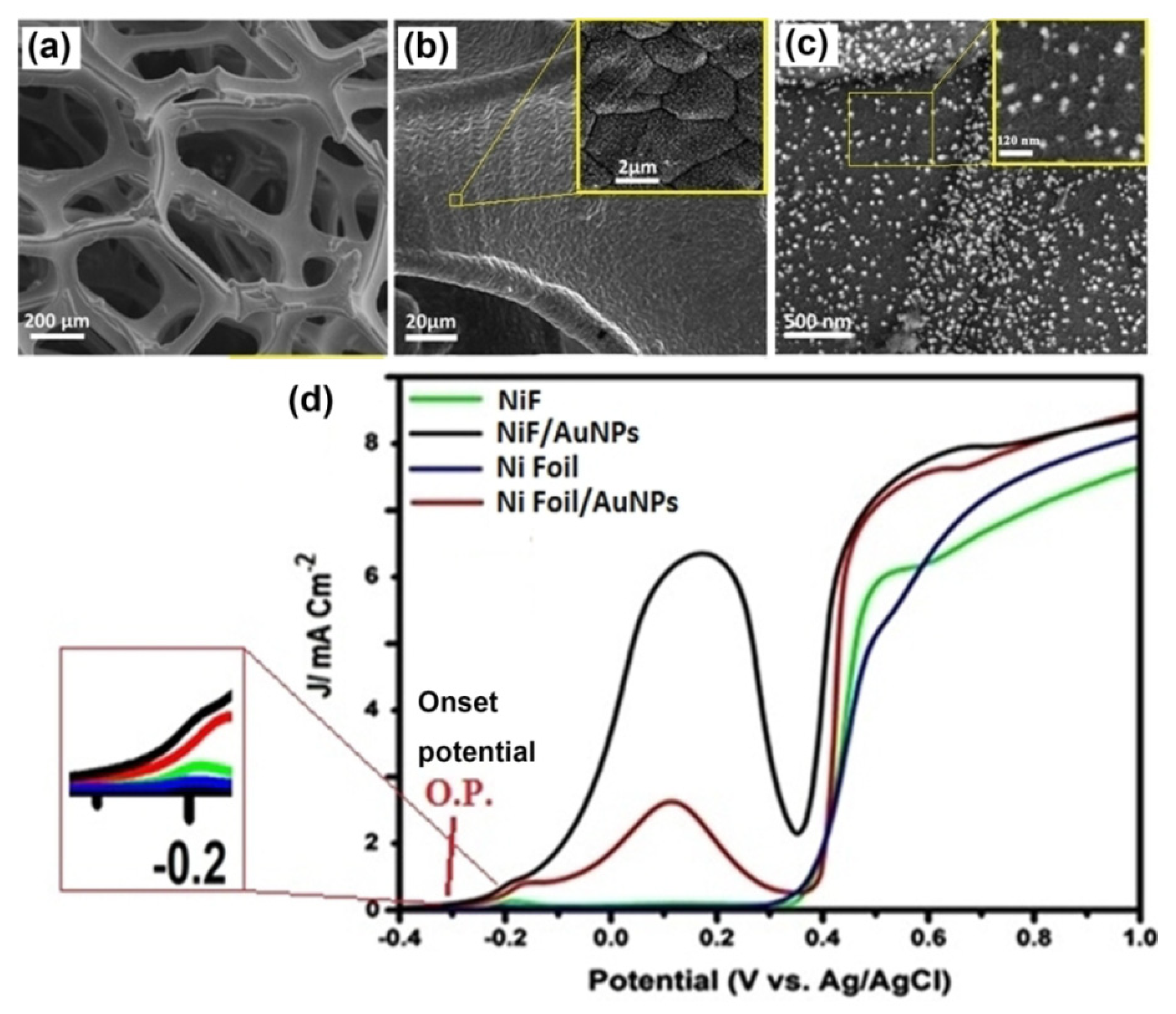 Catalysts 10 00166 g009