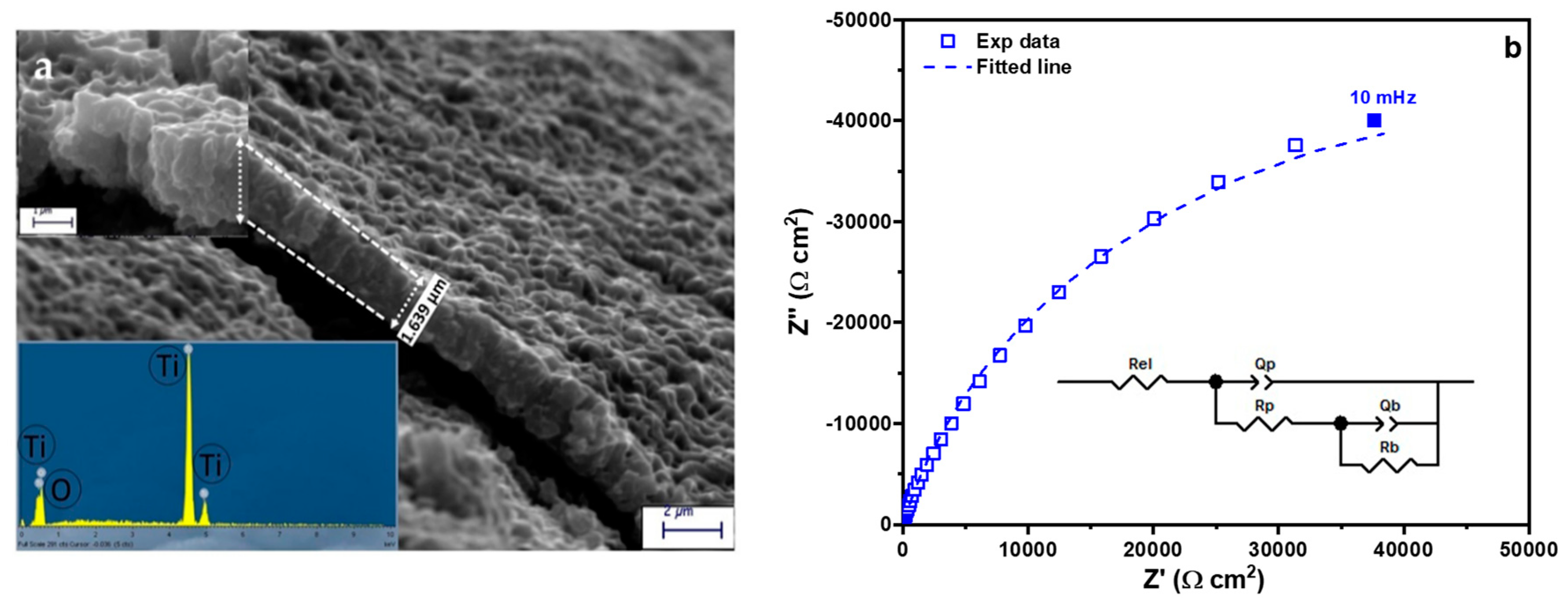 Catalysts 10 00169 g001a