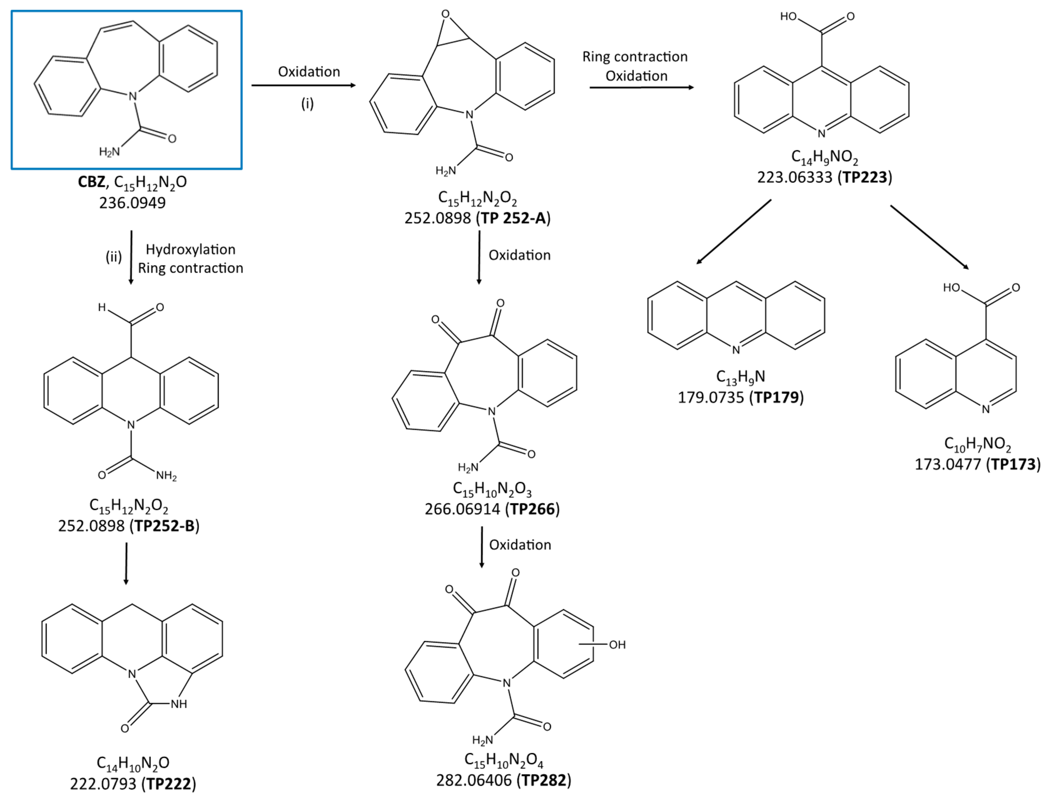 Catalysts 10 00169 g005