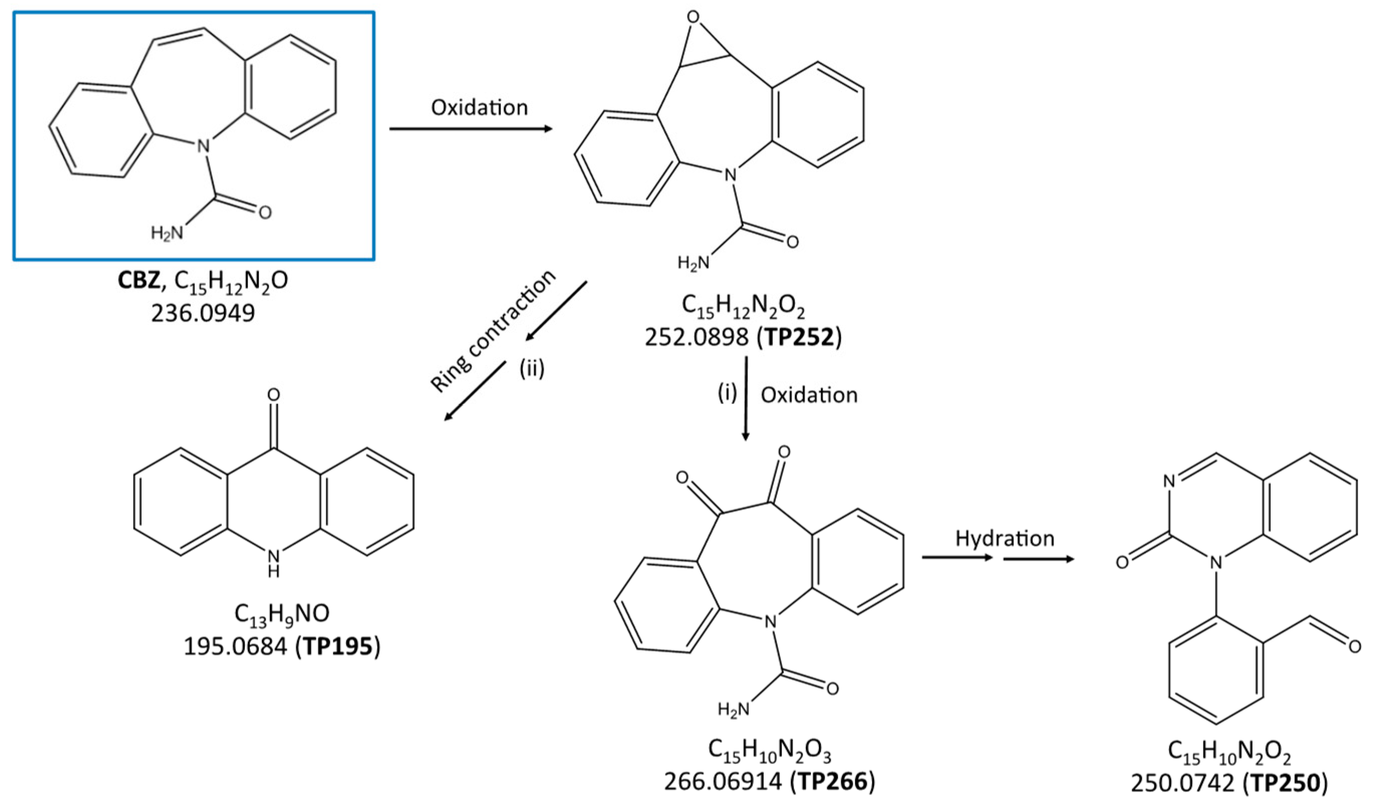 Catalysts 10 00169 g007