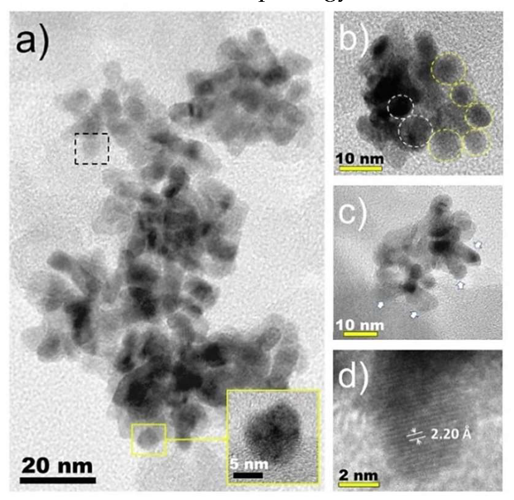 Catalysts 10 00170 g003