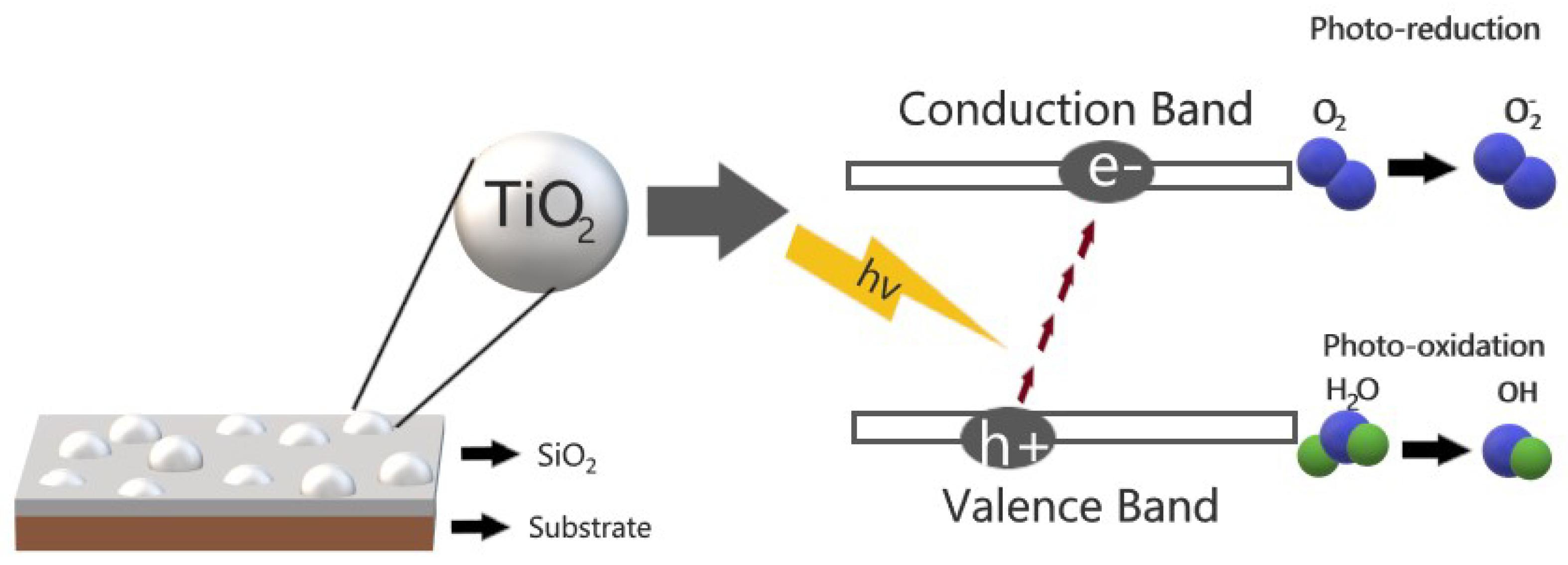 Catalysts 10 00171 g002