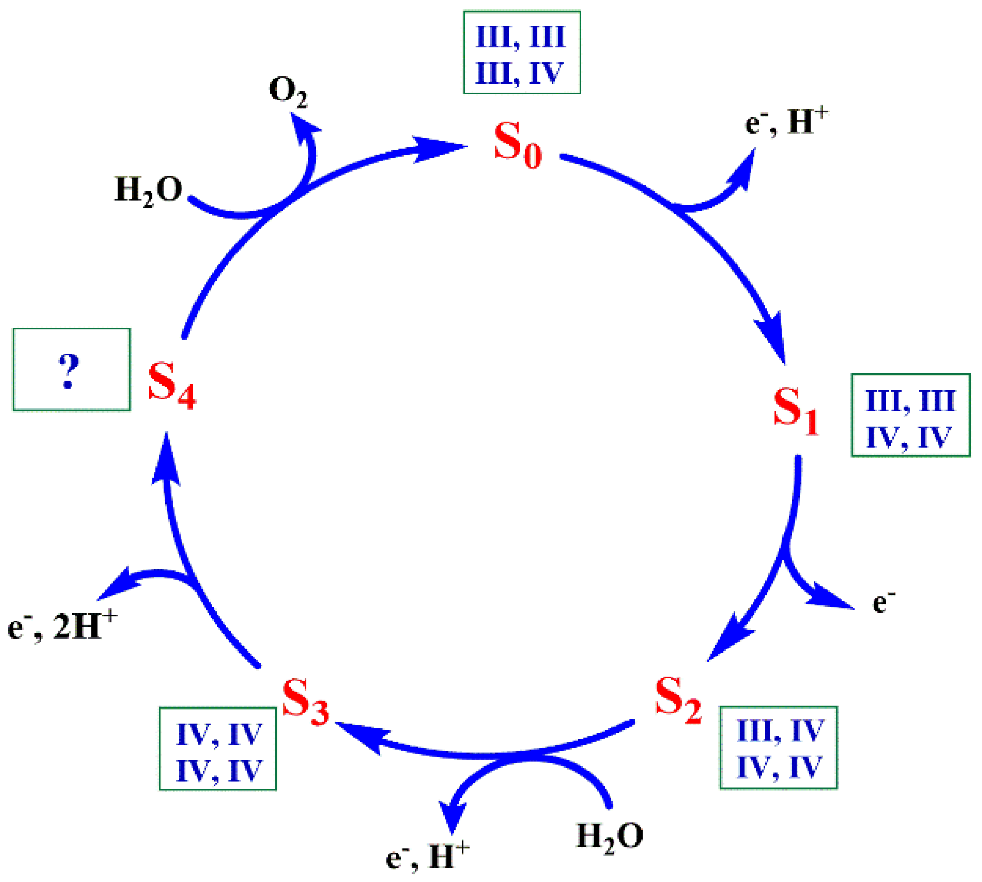 Catalysts 10 00185 g001