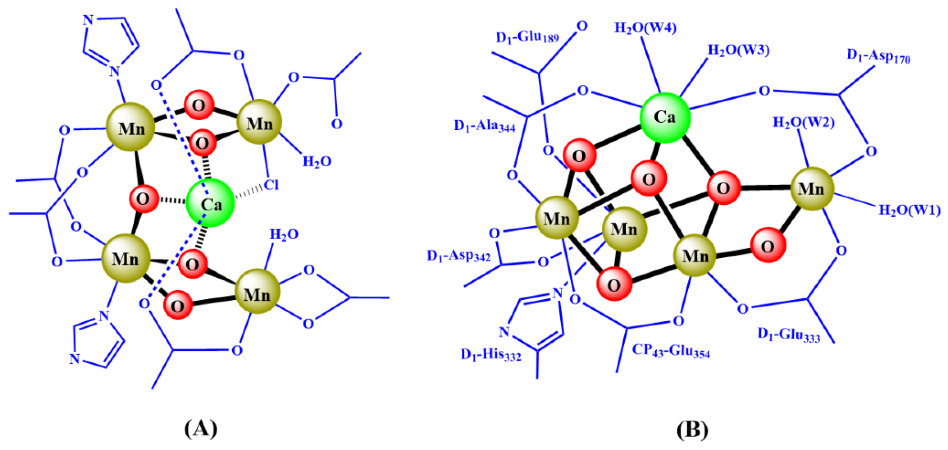 Catalysts 10 00185 g002