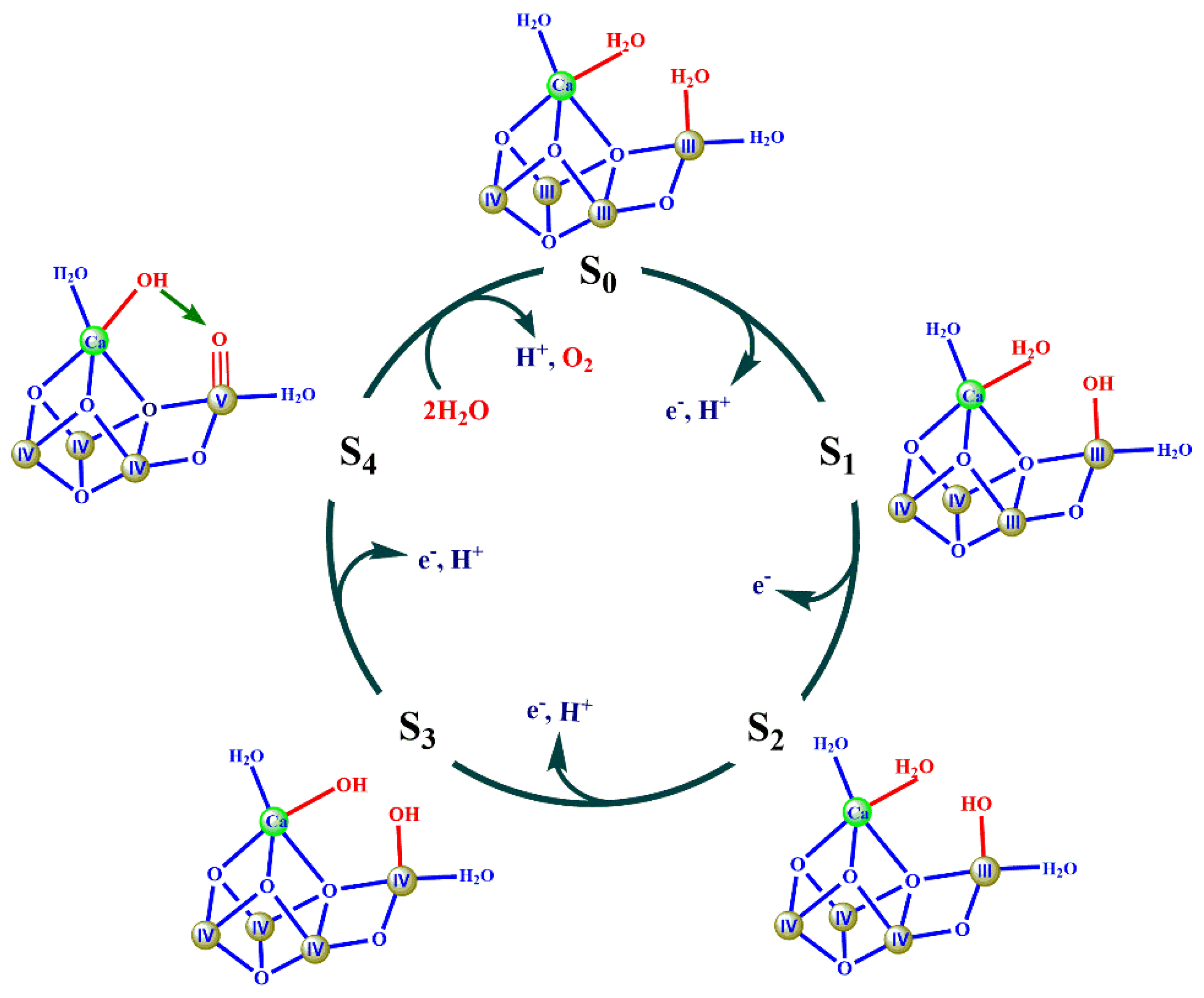 Catalysts 10 00185 g003