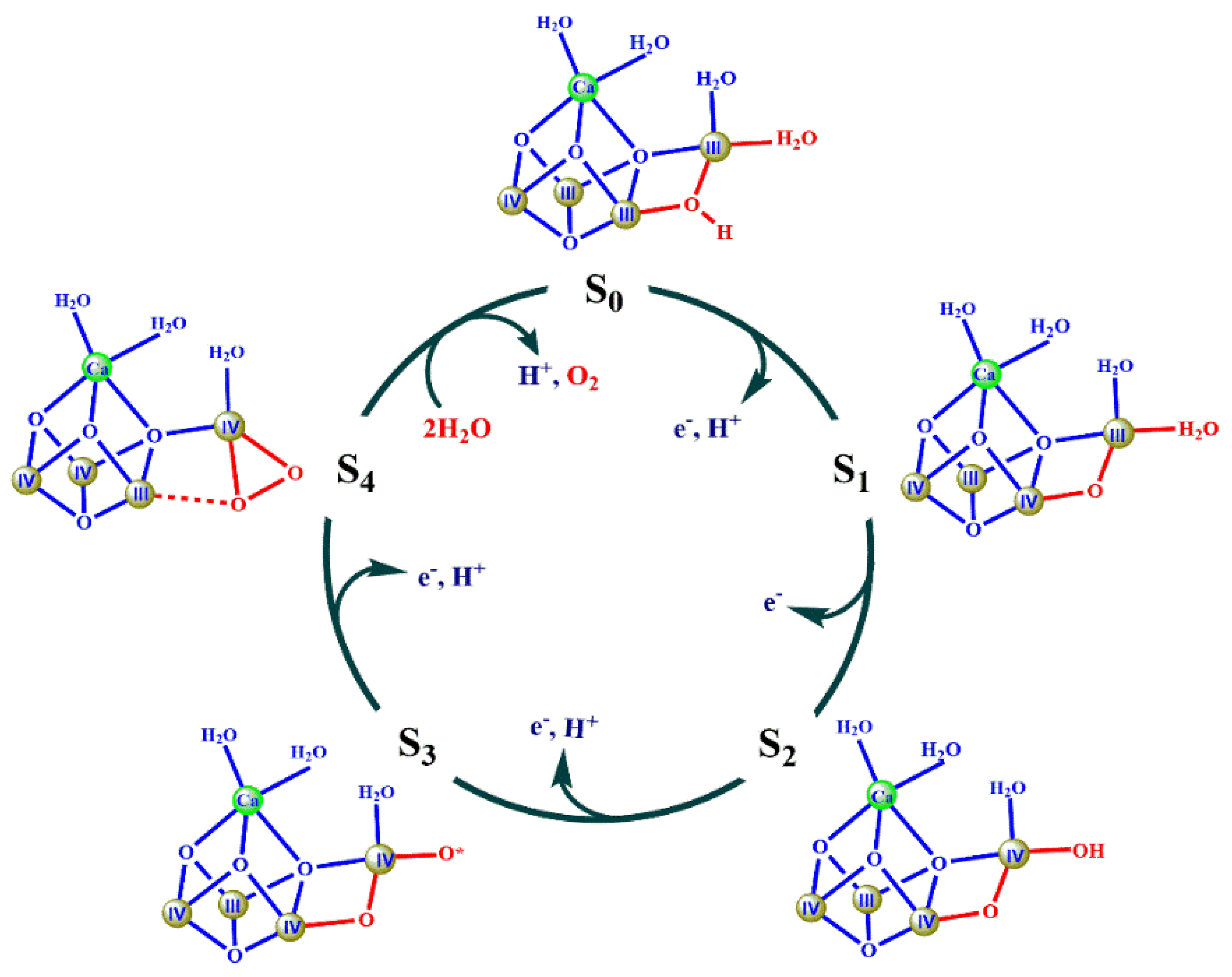 Catalysts 10 00185 g004