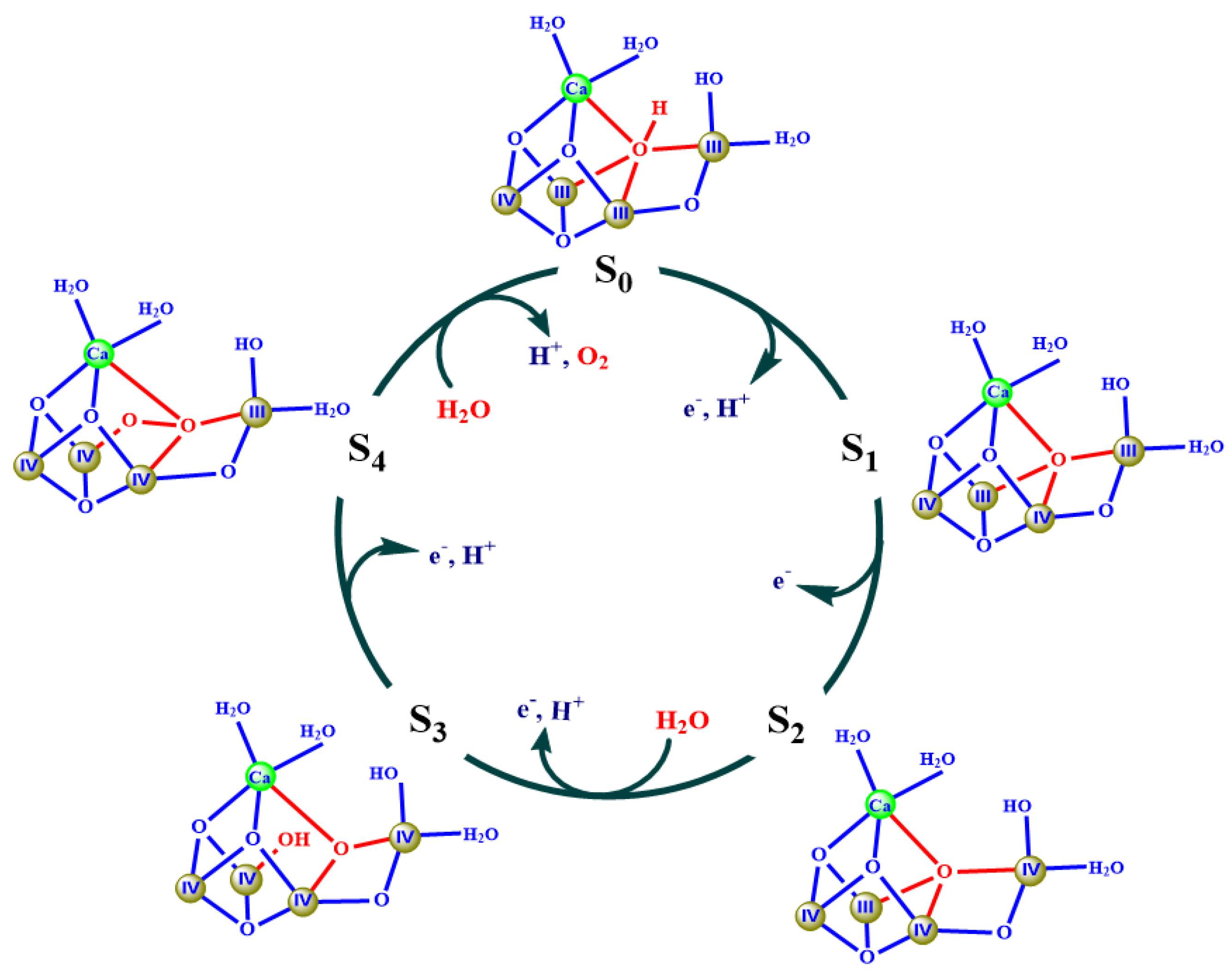 Catalysts 10 00185 g005
