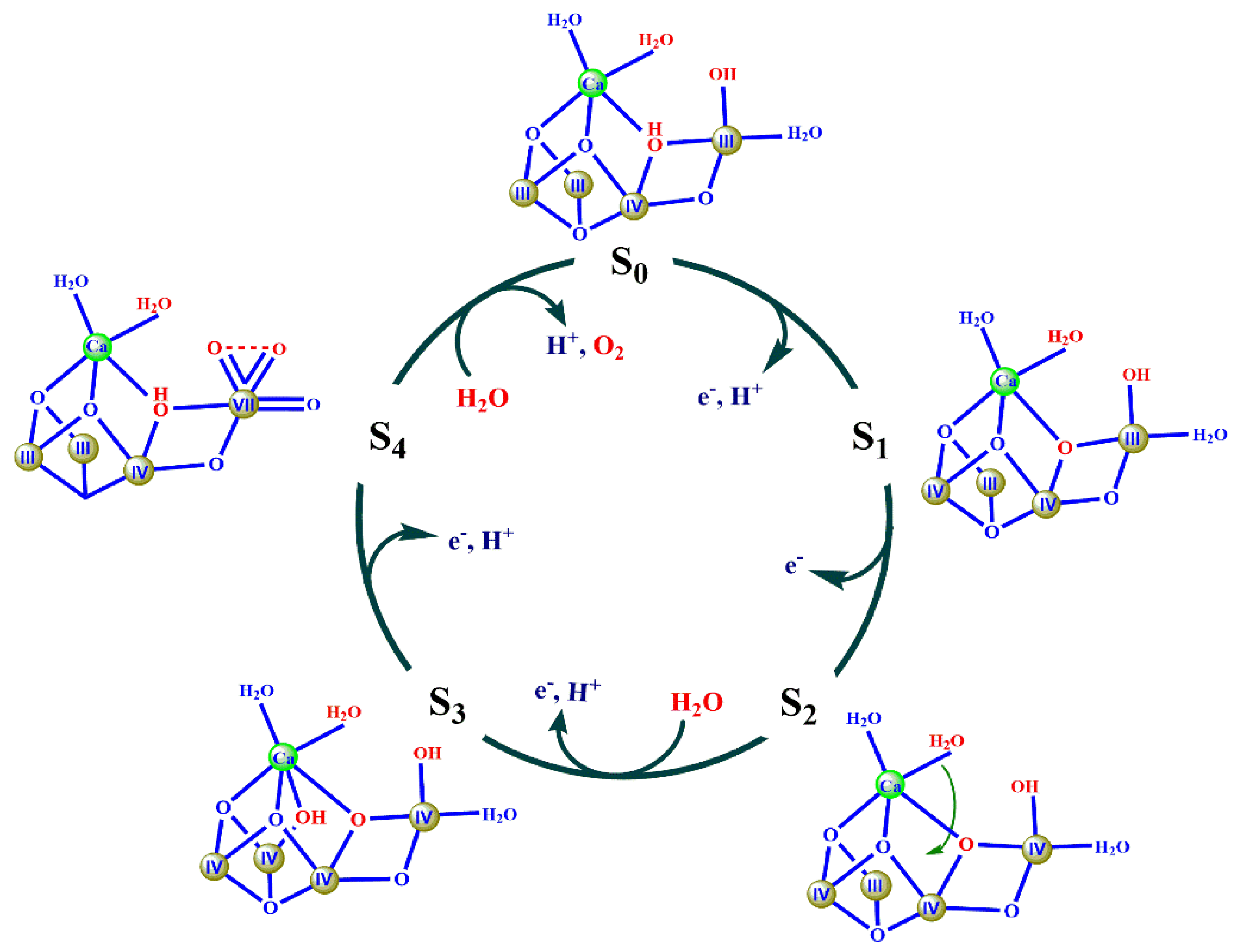 Catalysts 10 00185 g006