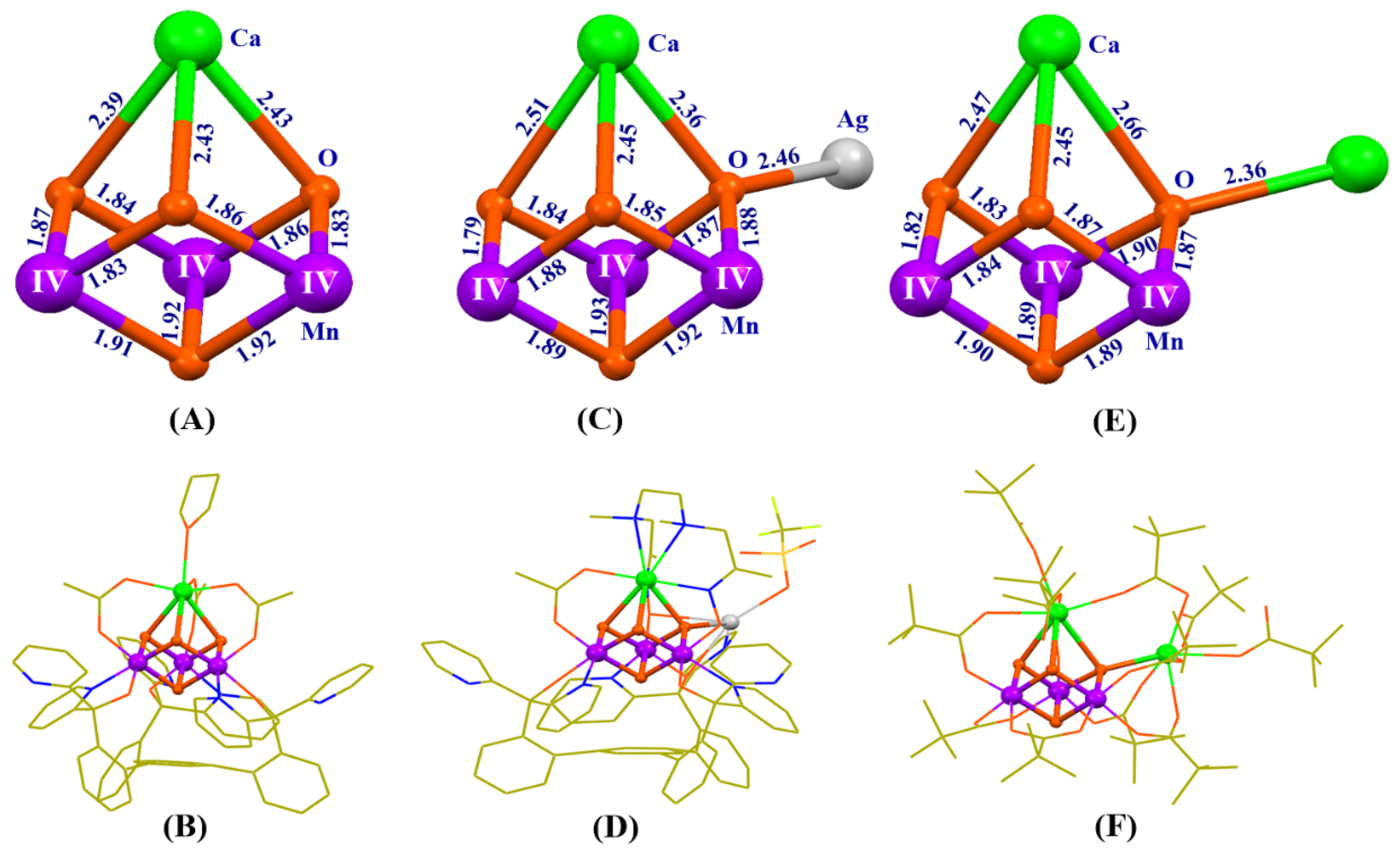 Catalysts 10 00185 g007