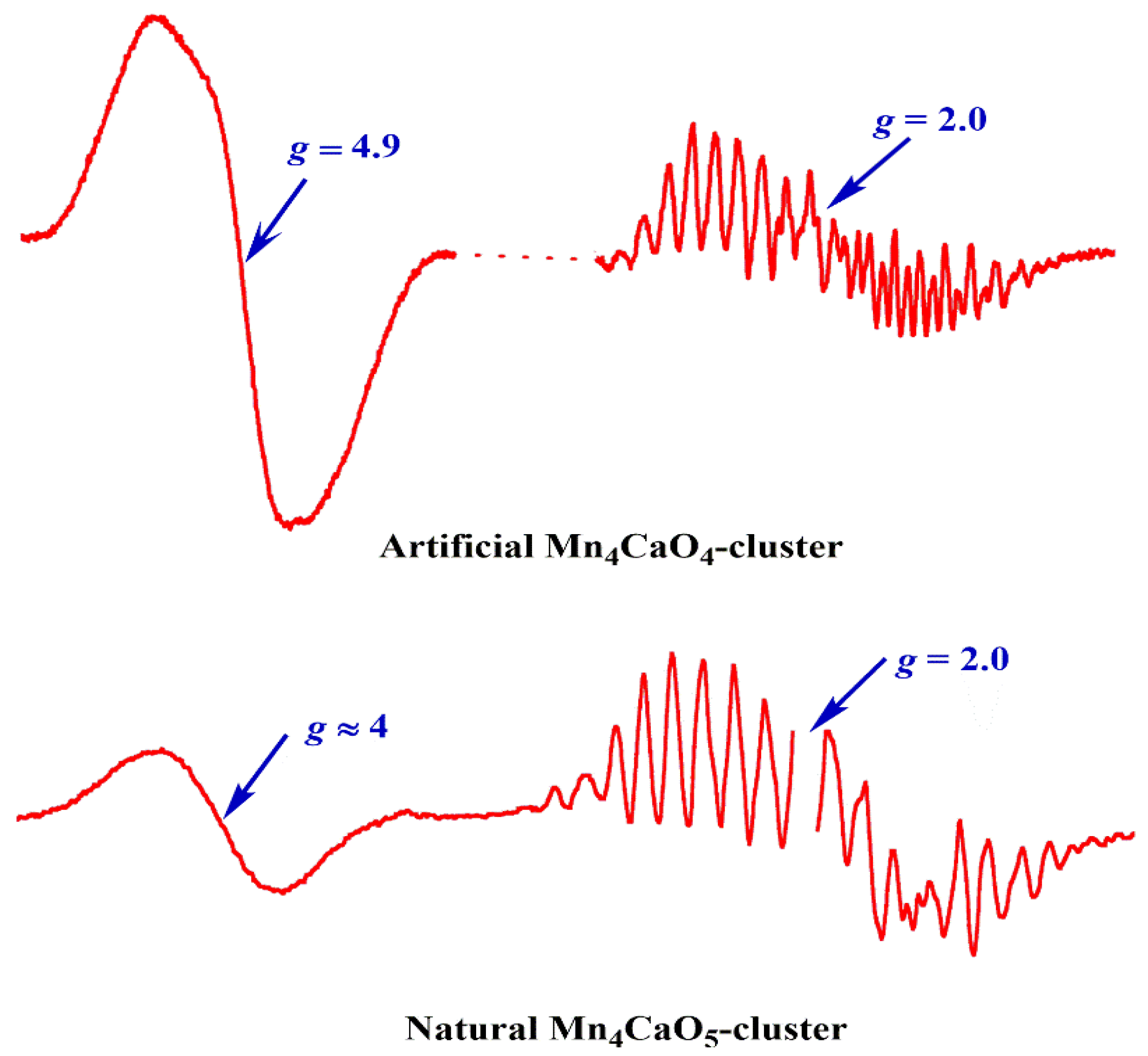Catalysts 10 00185 g011