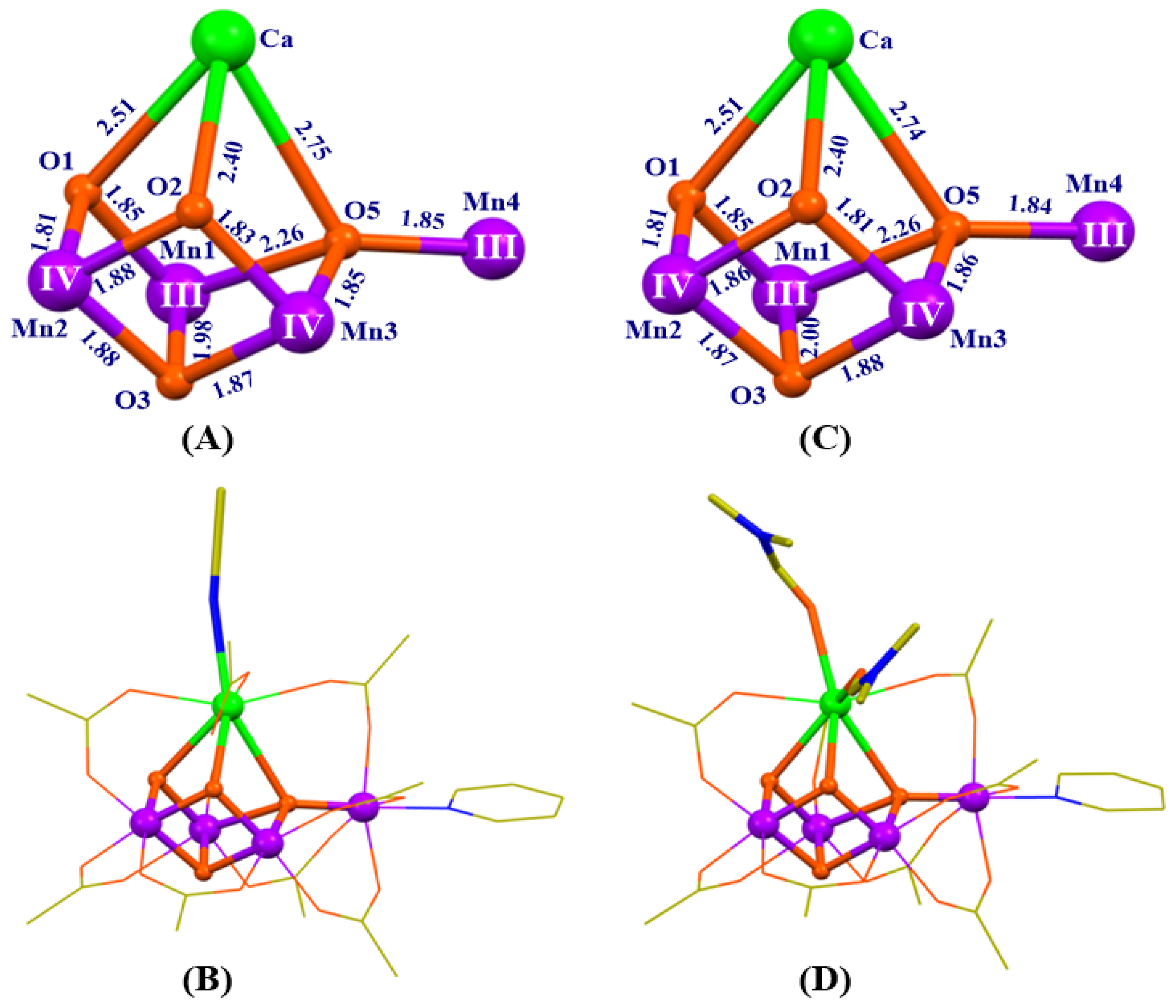 Catalysts 10 00185 g013