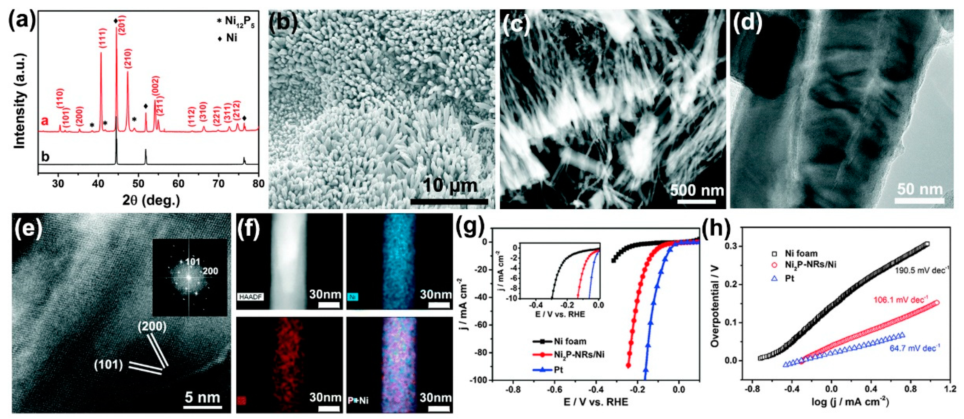 Catalysts 10 00188 g005