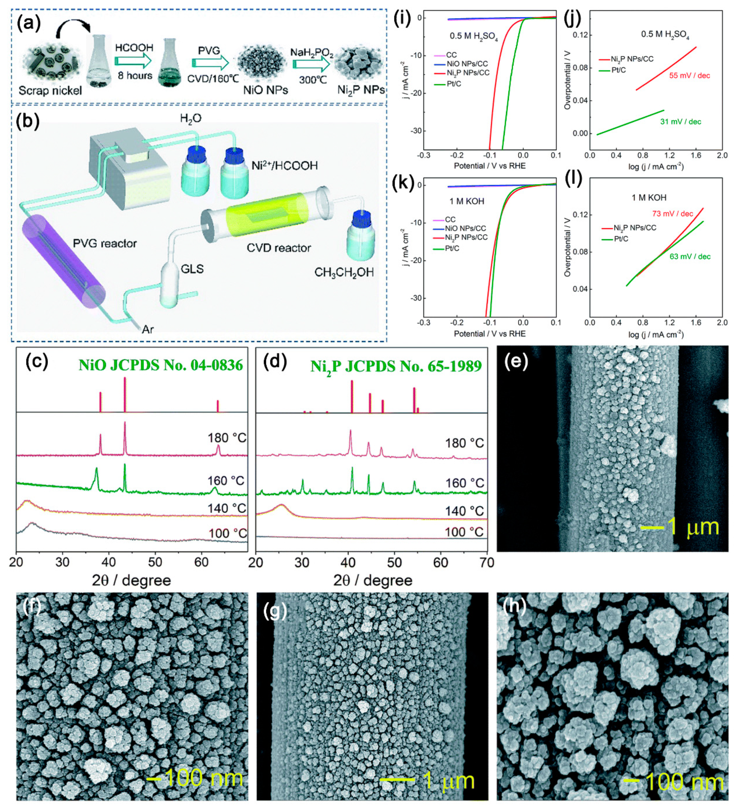 Catalysts 10 00188 g008