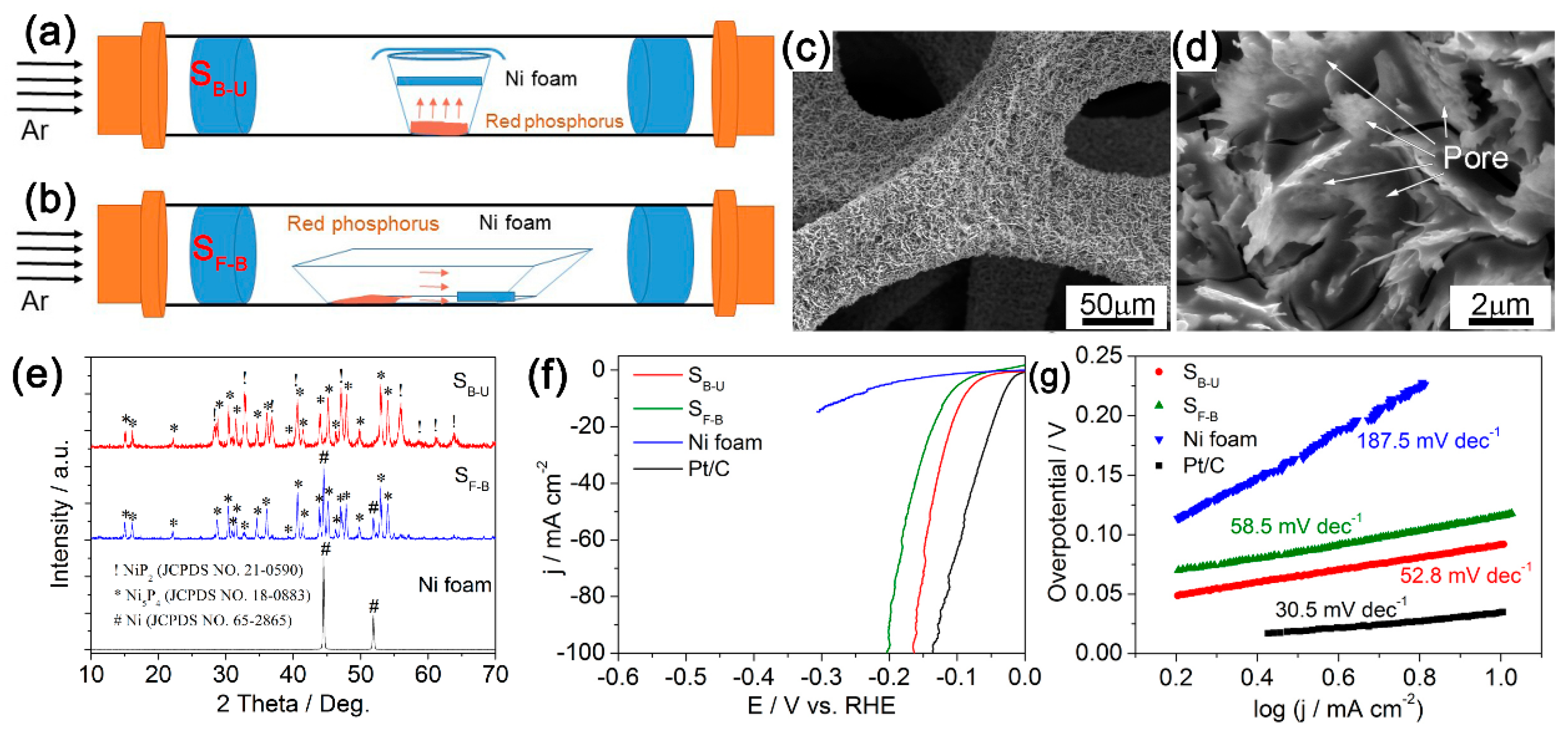 Catalysts 10 00188 g009