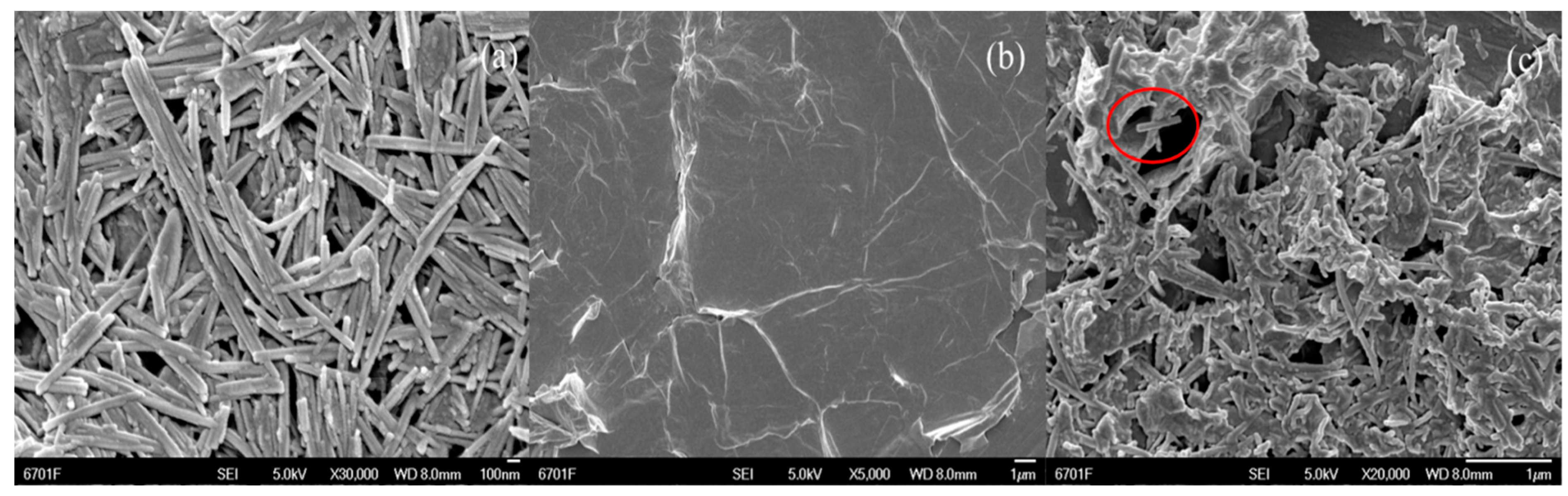Catalysts 10 00189 g001 Catalysts 10 00189 g001