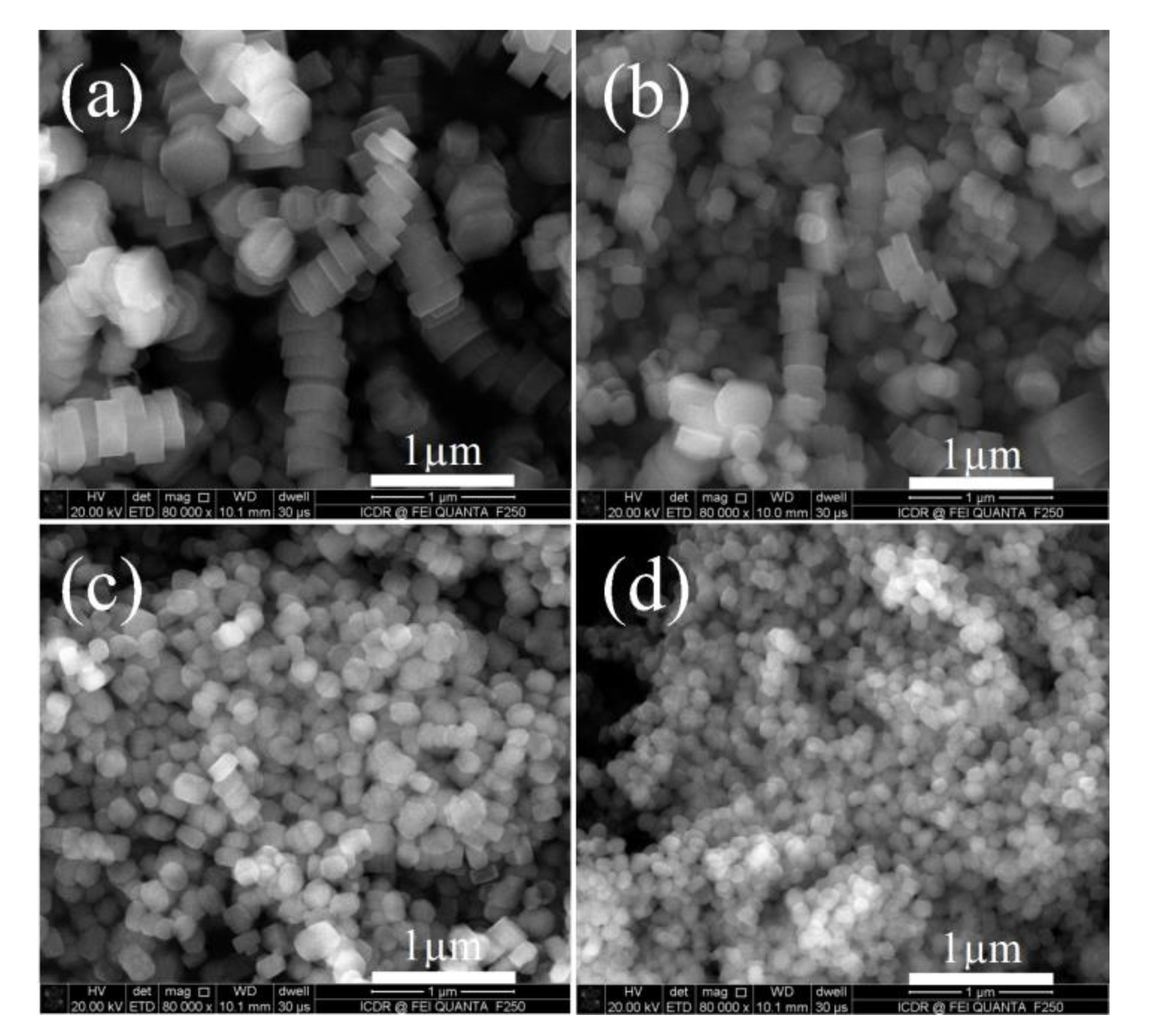 Catalysts 10 00198 g002