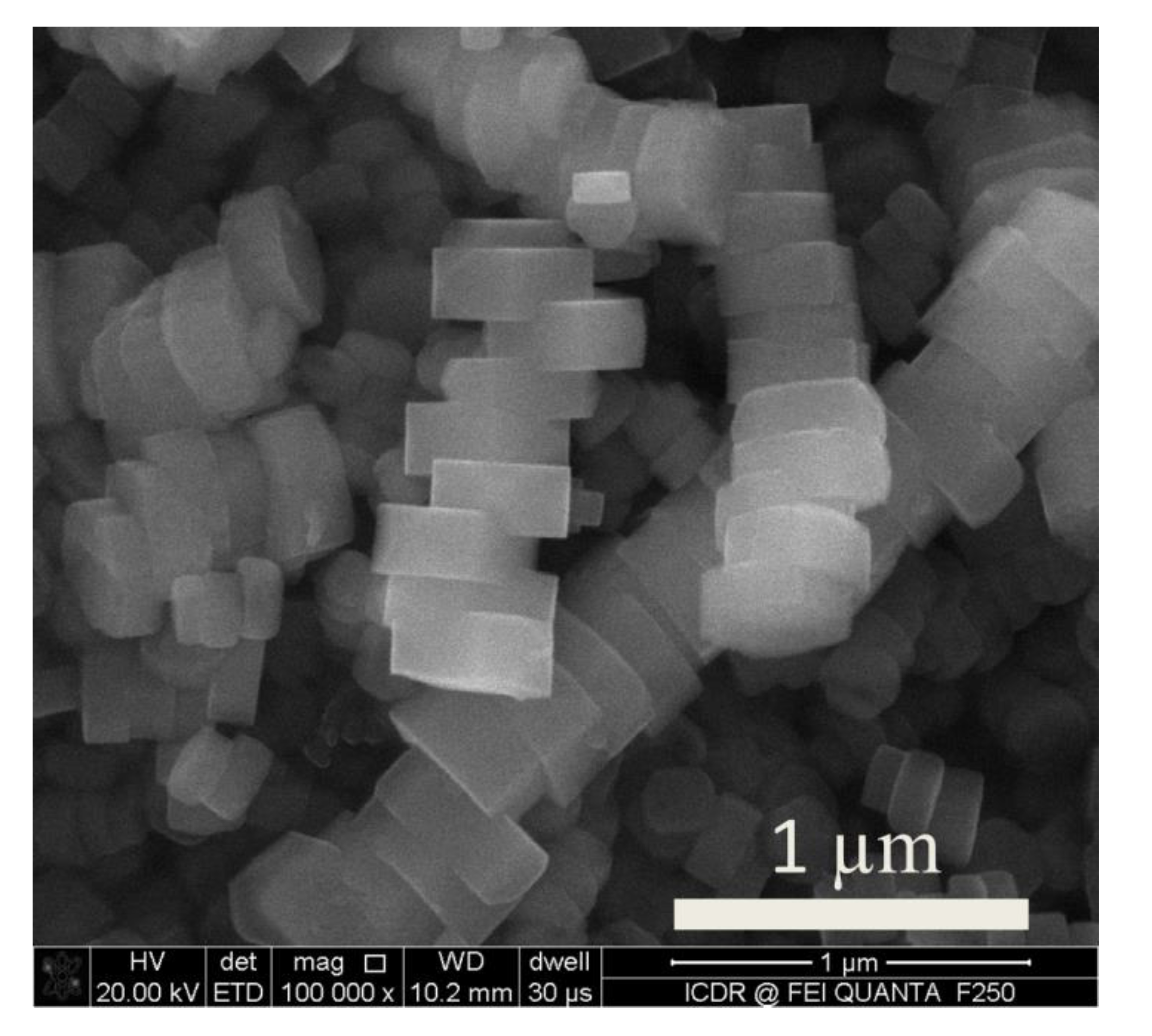 Catalysts 10 00198 g010