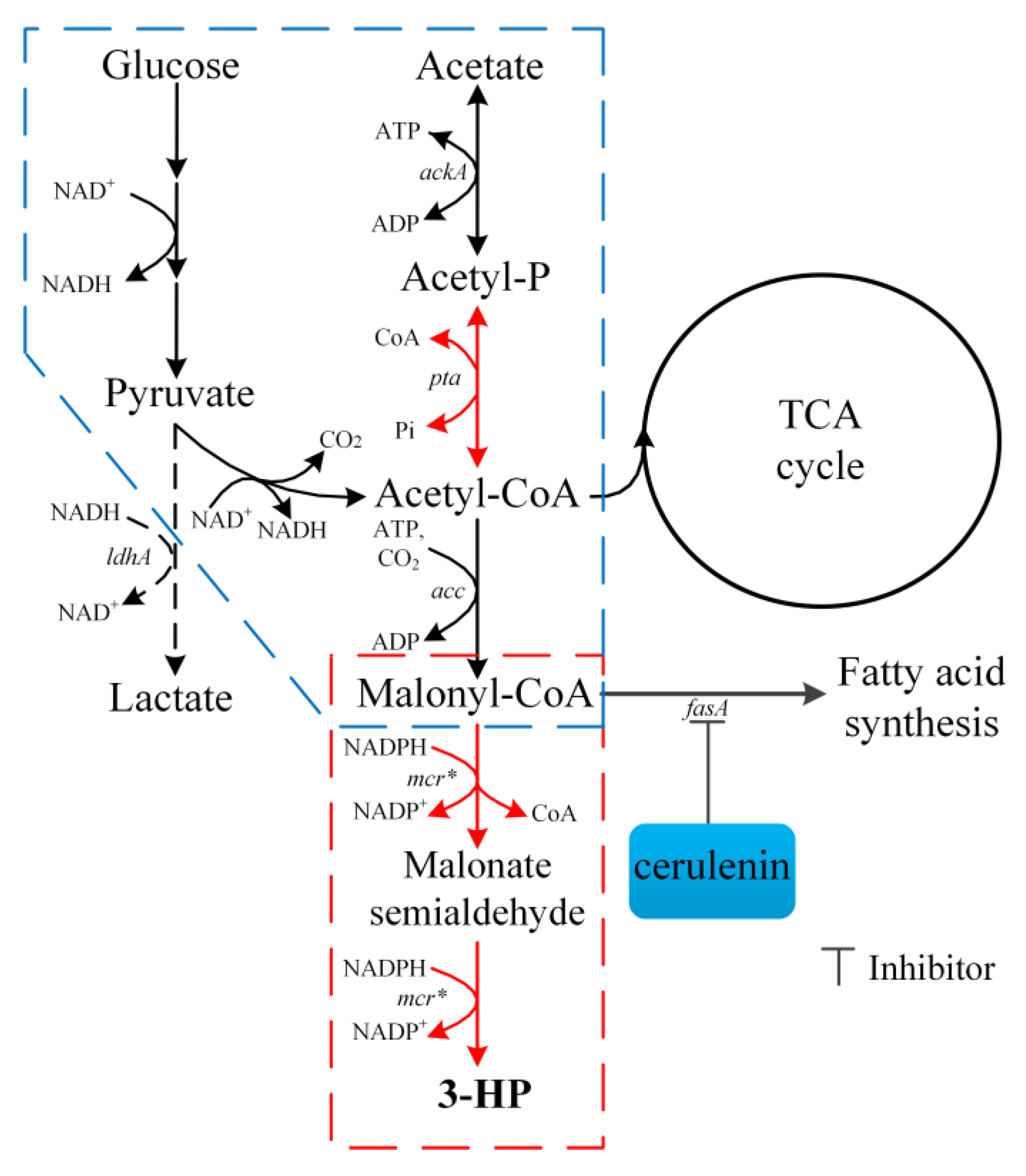 Catalysts 10 00203 g001 Catalysts 10 00203 g001