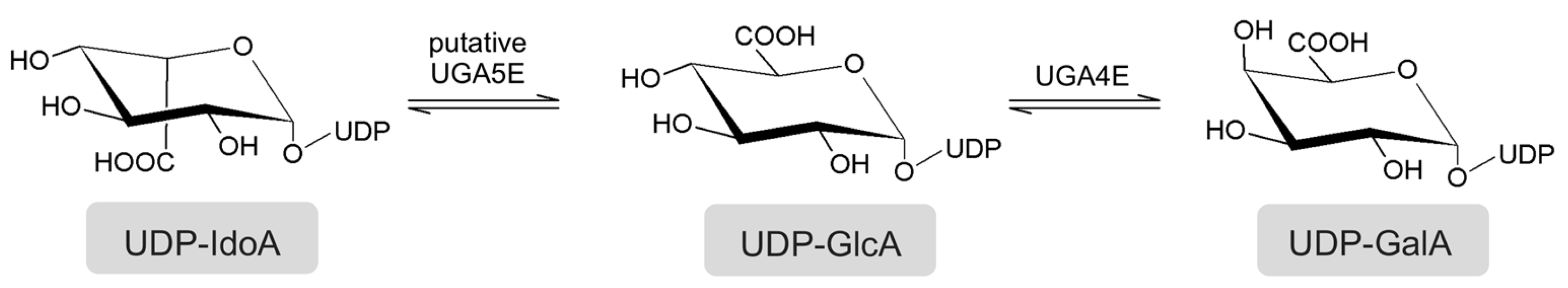 Catalysts 10 00222 g001