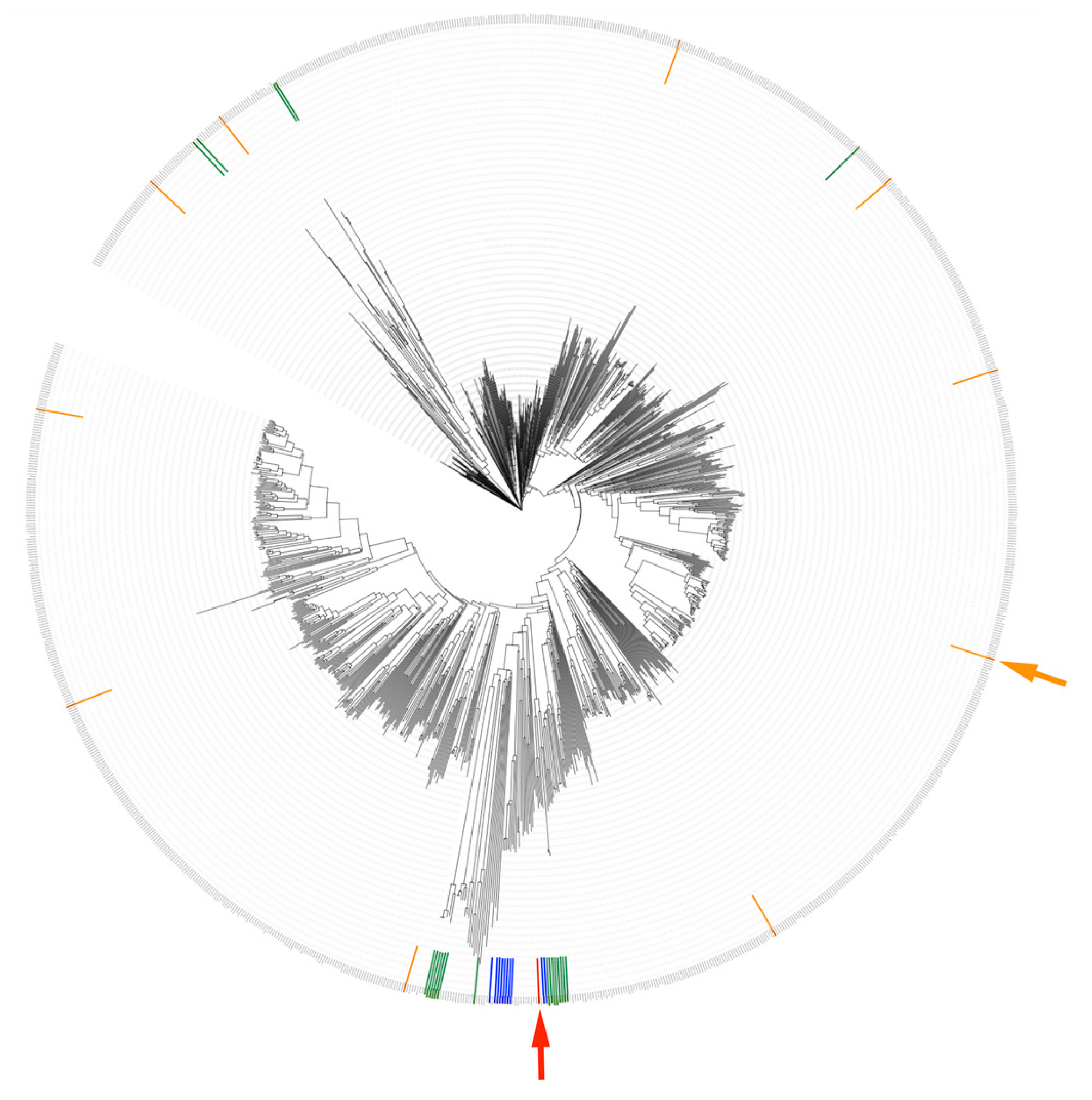 Catalysts 10 00222 g003
